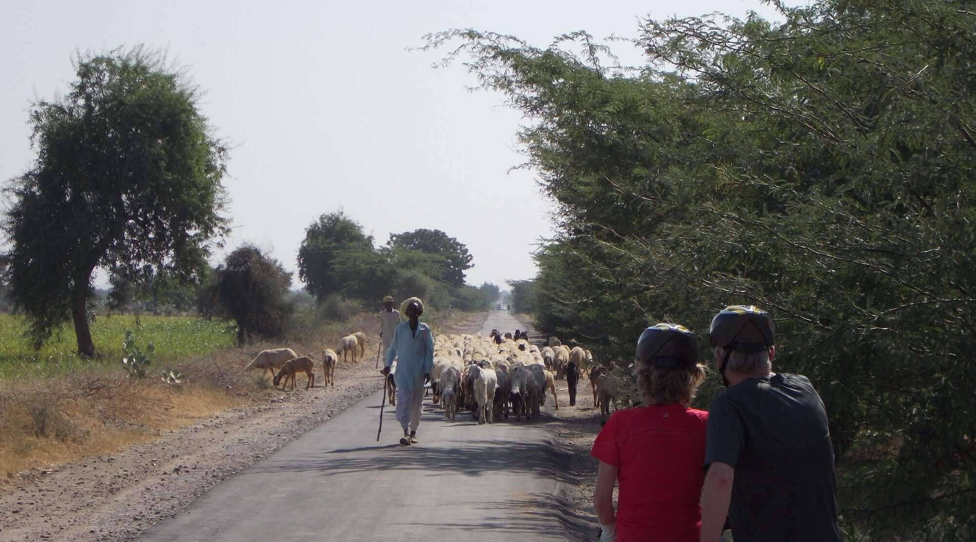 rajasthan bike tour 11