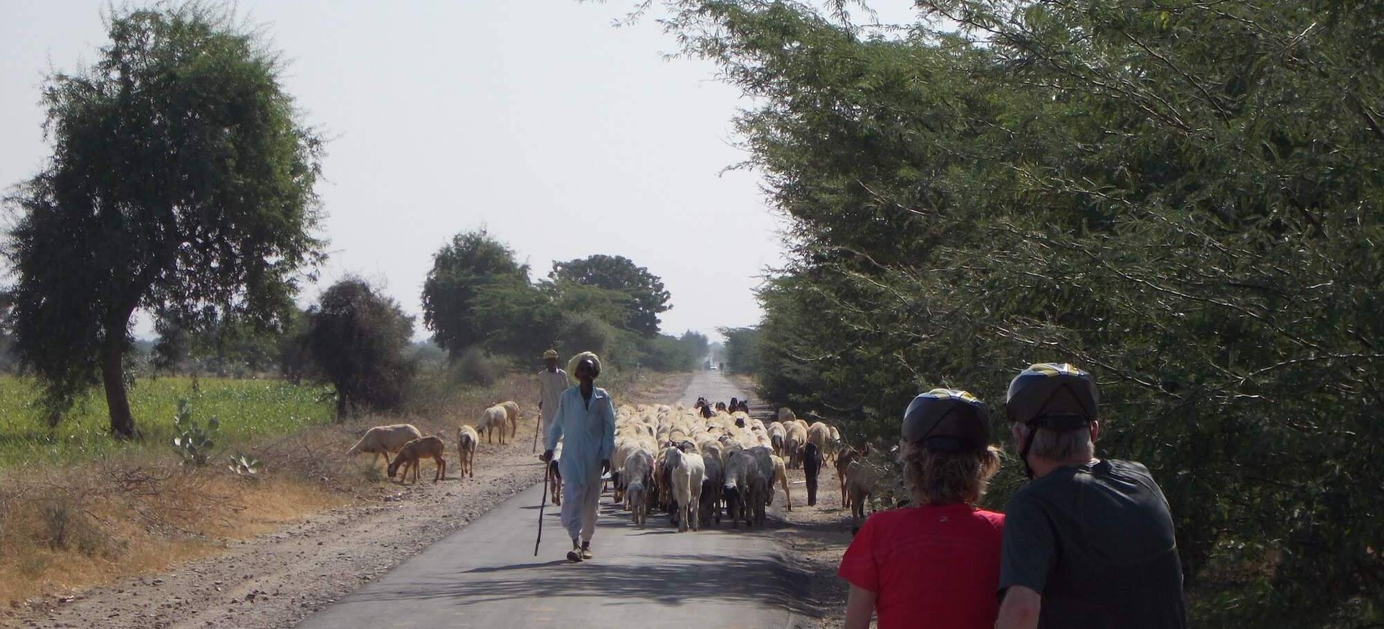 rajasthan bike tour 11