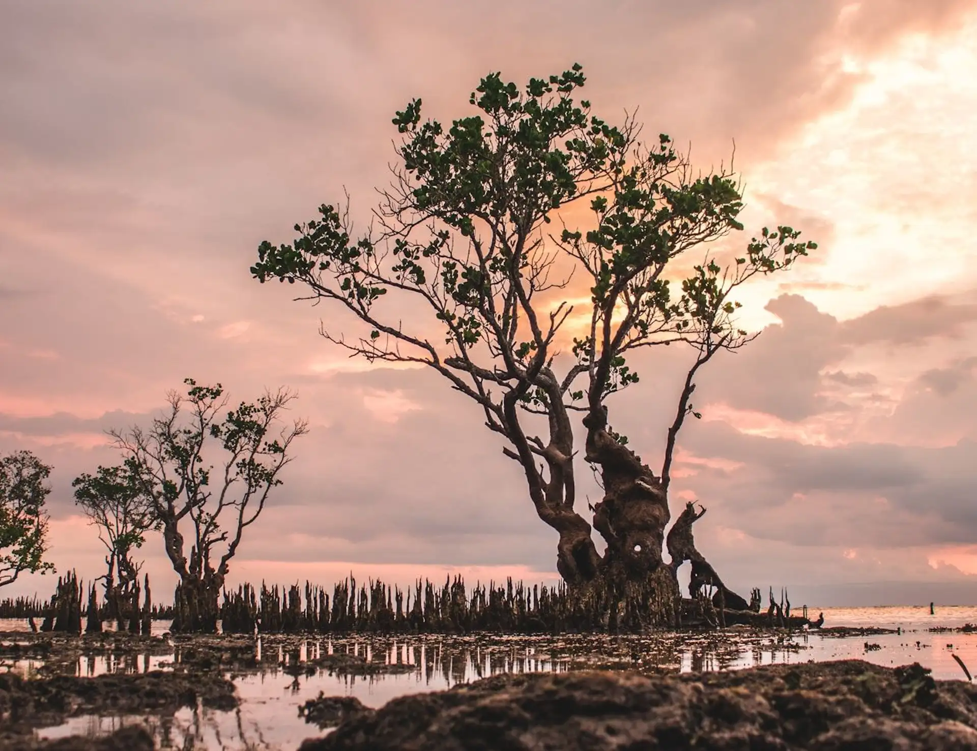 Essential Philippines Bike Tour