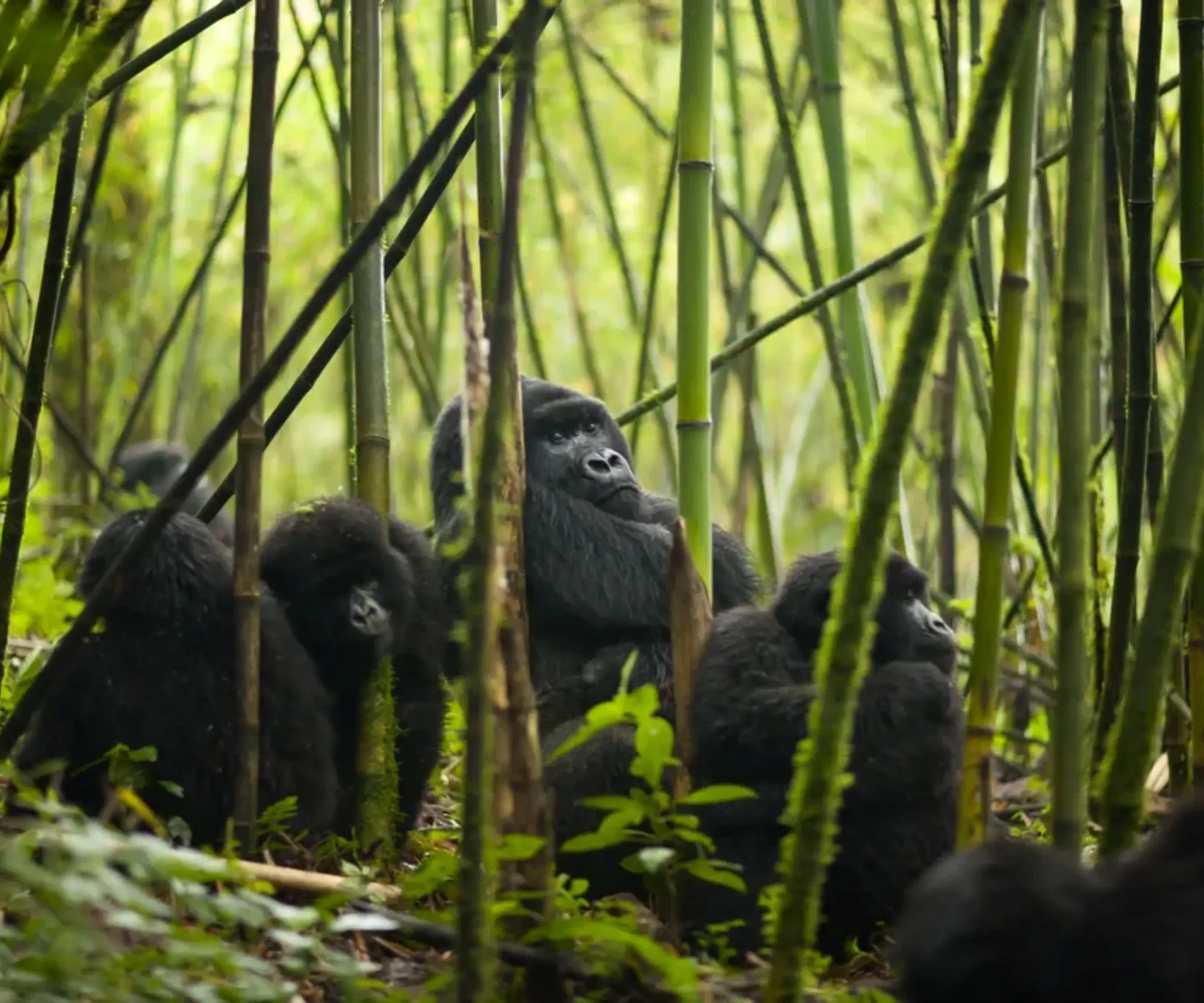 VR 0103__Visit_Rwanda_