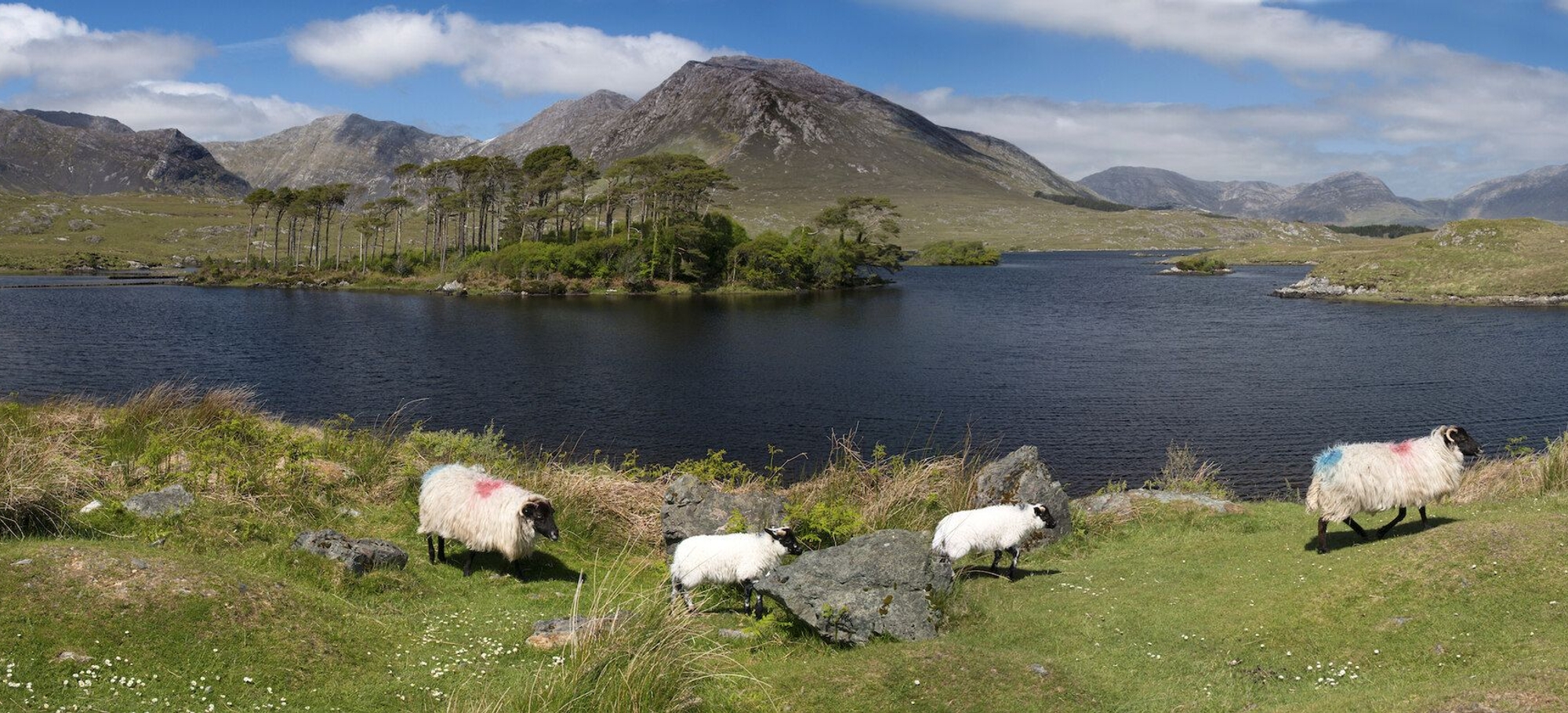 Copy of Derryclare Lough, Connemara (1)