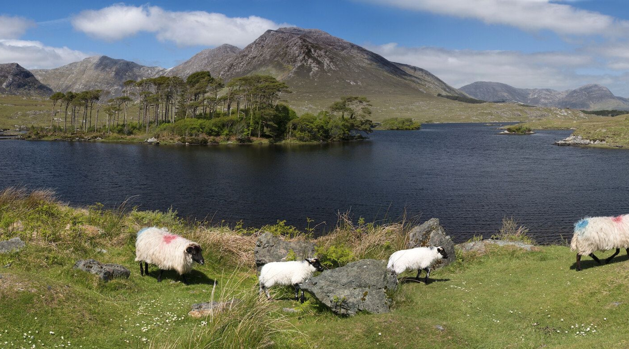 Copy of Derryclare Lough, Connemara (1)