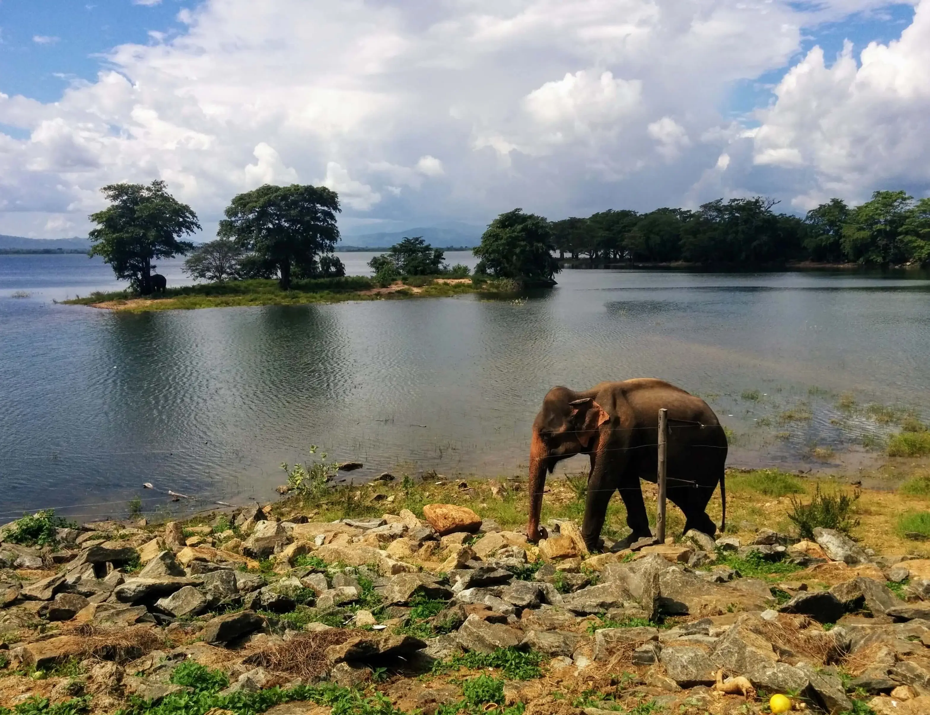 Glimpse of Sri Lanka Bike Tour