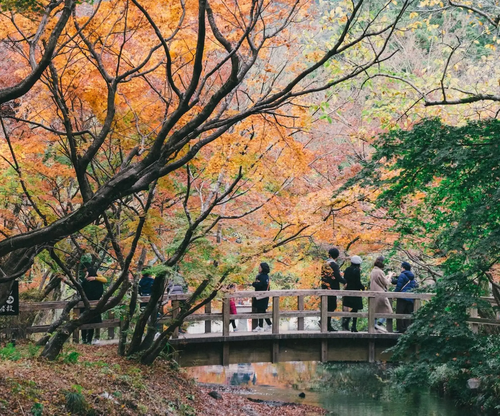 Tour photo