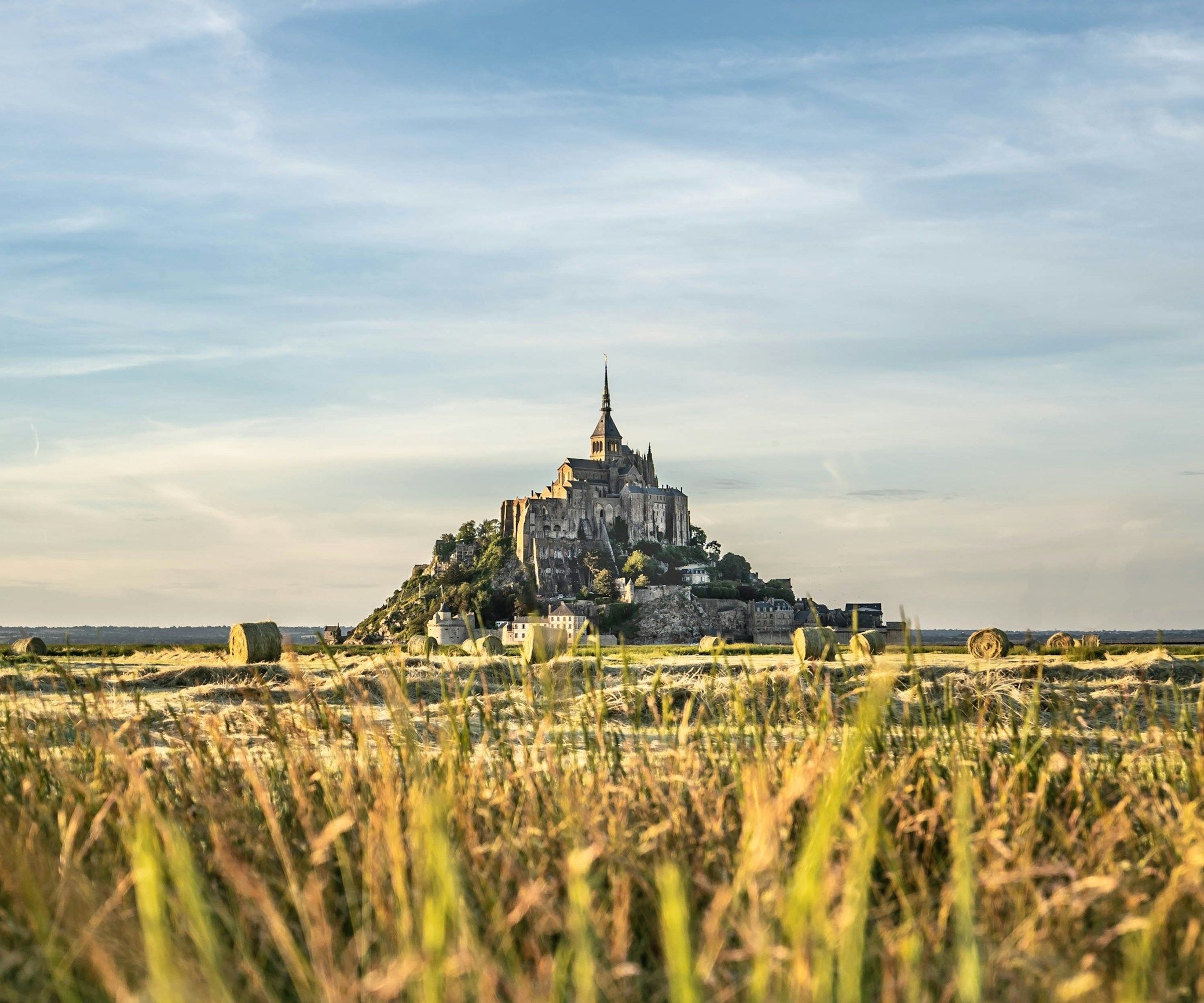 dan wilding IQ1EuGwD Lw unsplash