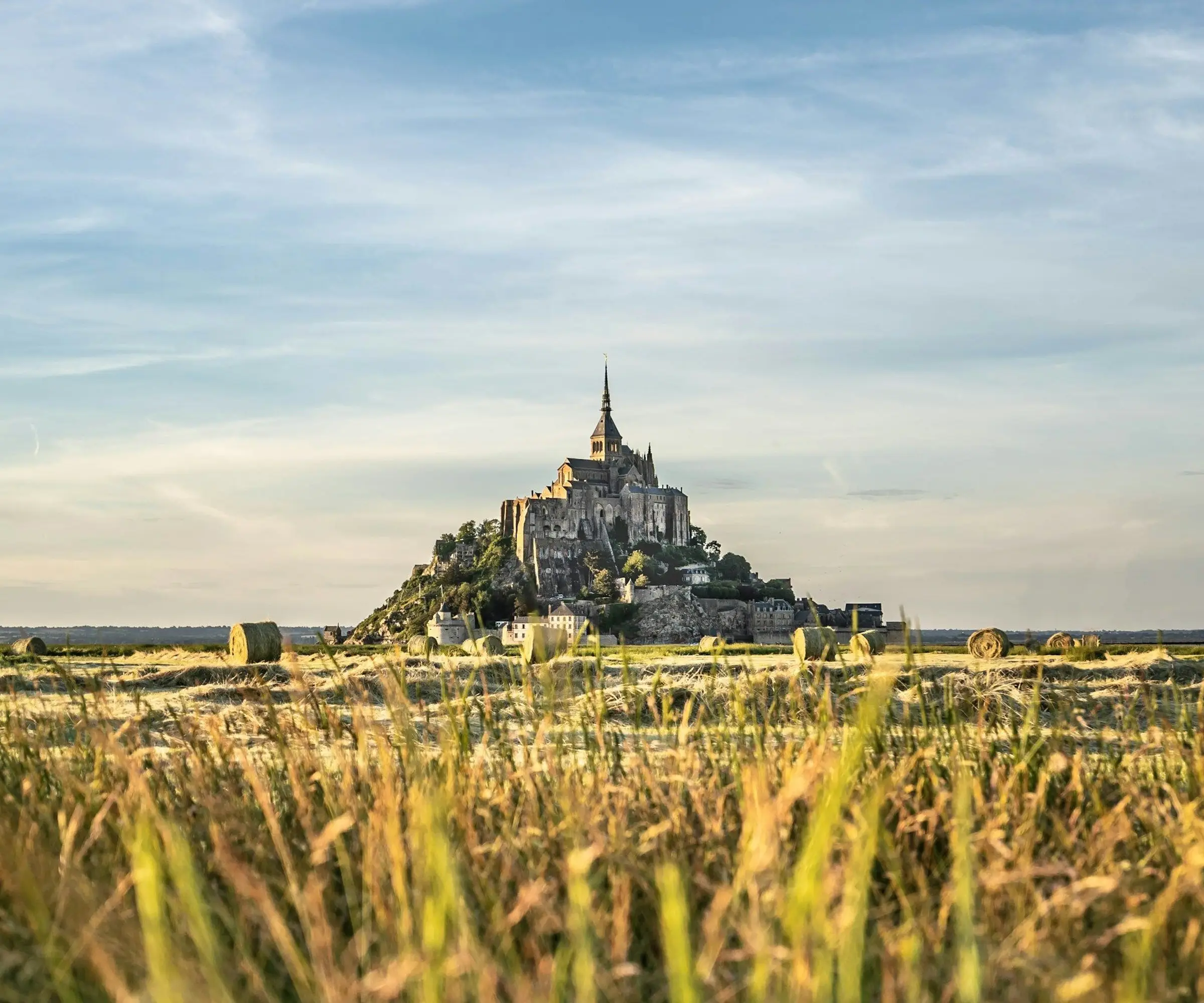 dan wilding IQ1EuGwD Lw unsplash