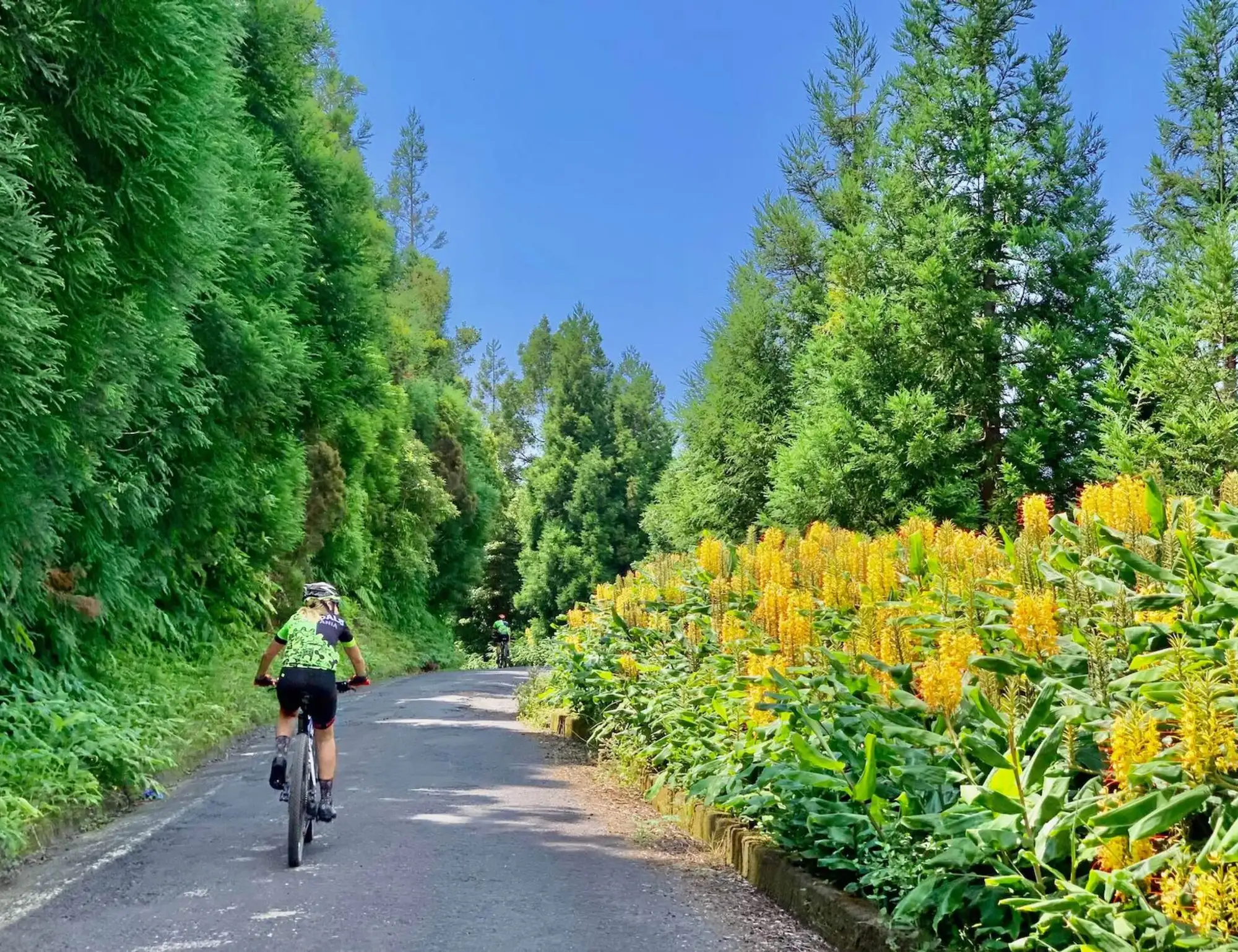 Self-guided Azores Bike and Hike Tour