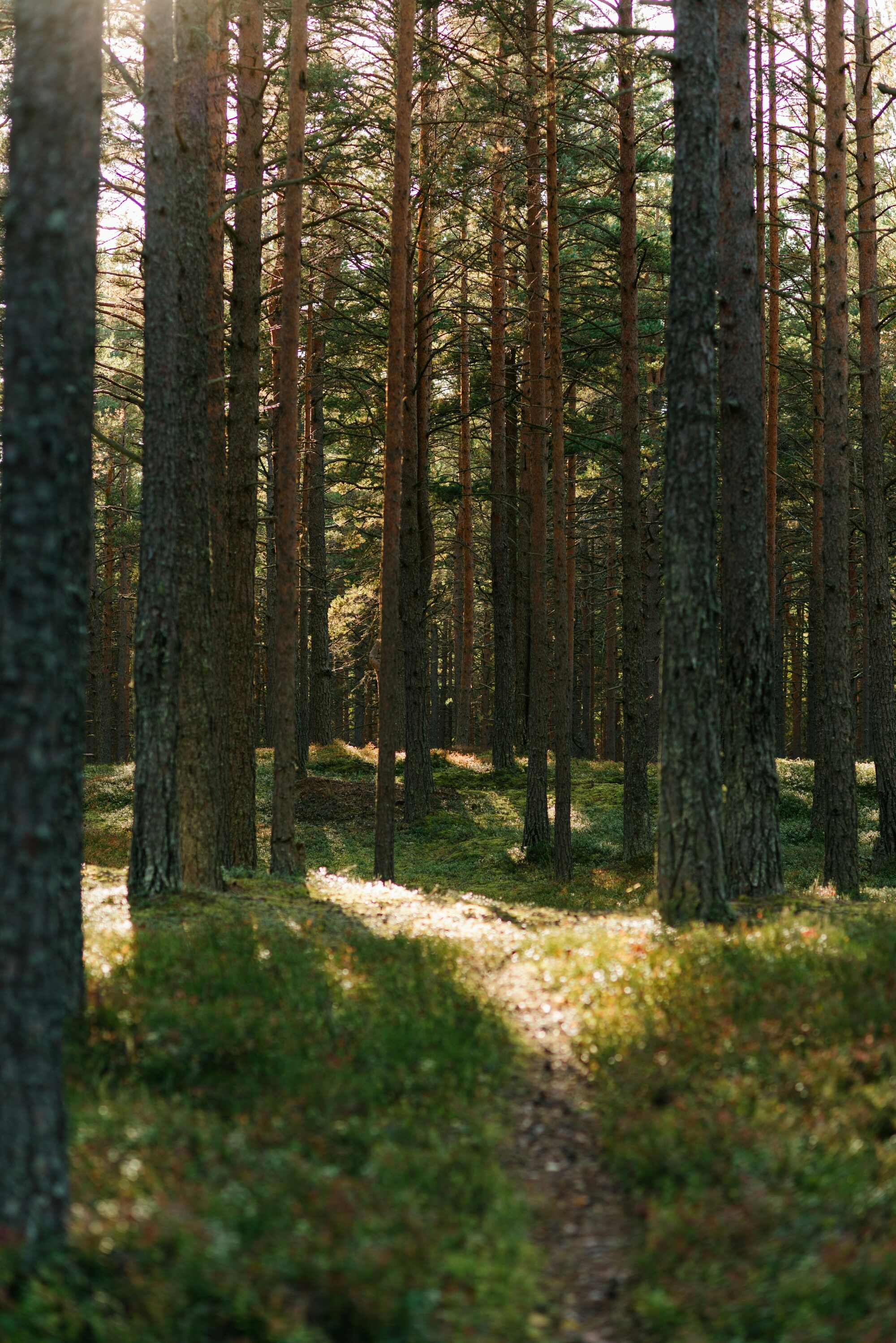 Itinerary Image