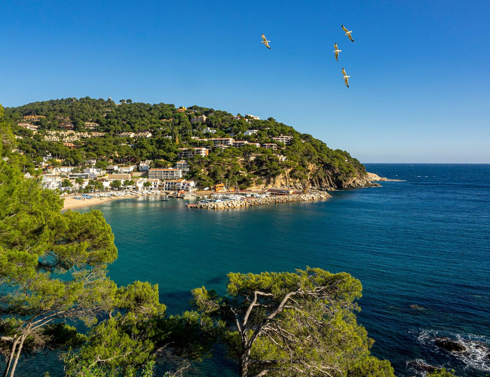 Self-guided Costa Brava and Wine Country Bike Tour