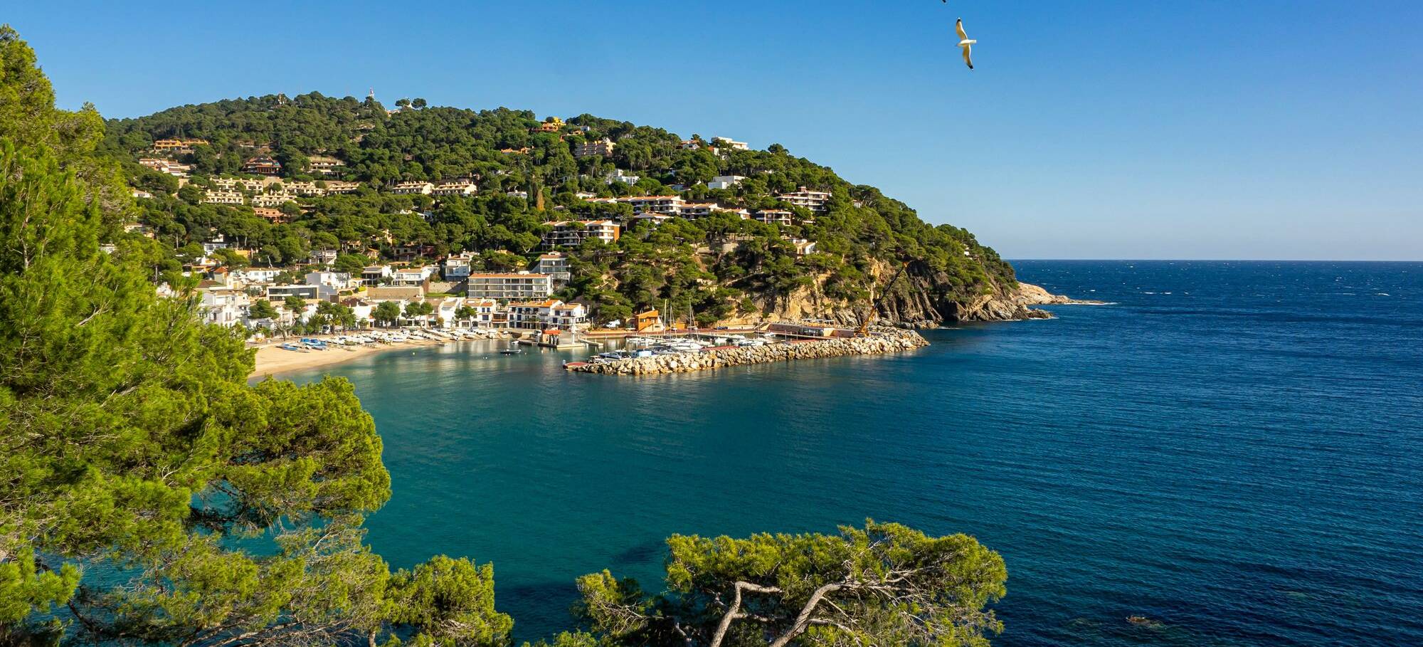 costa brava (1)