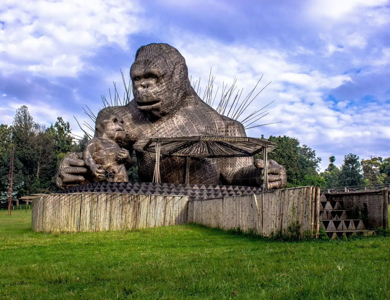 Picture for The Complete Guide to Hiking Rwanda article