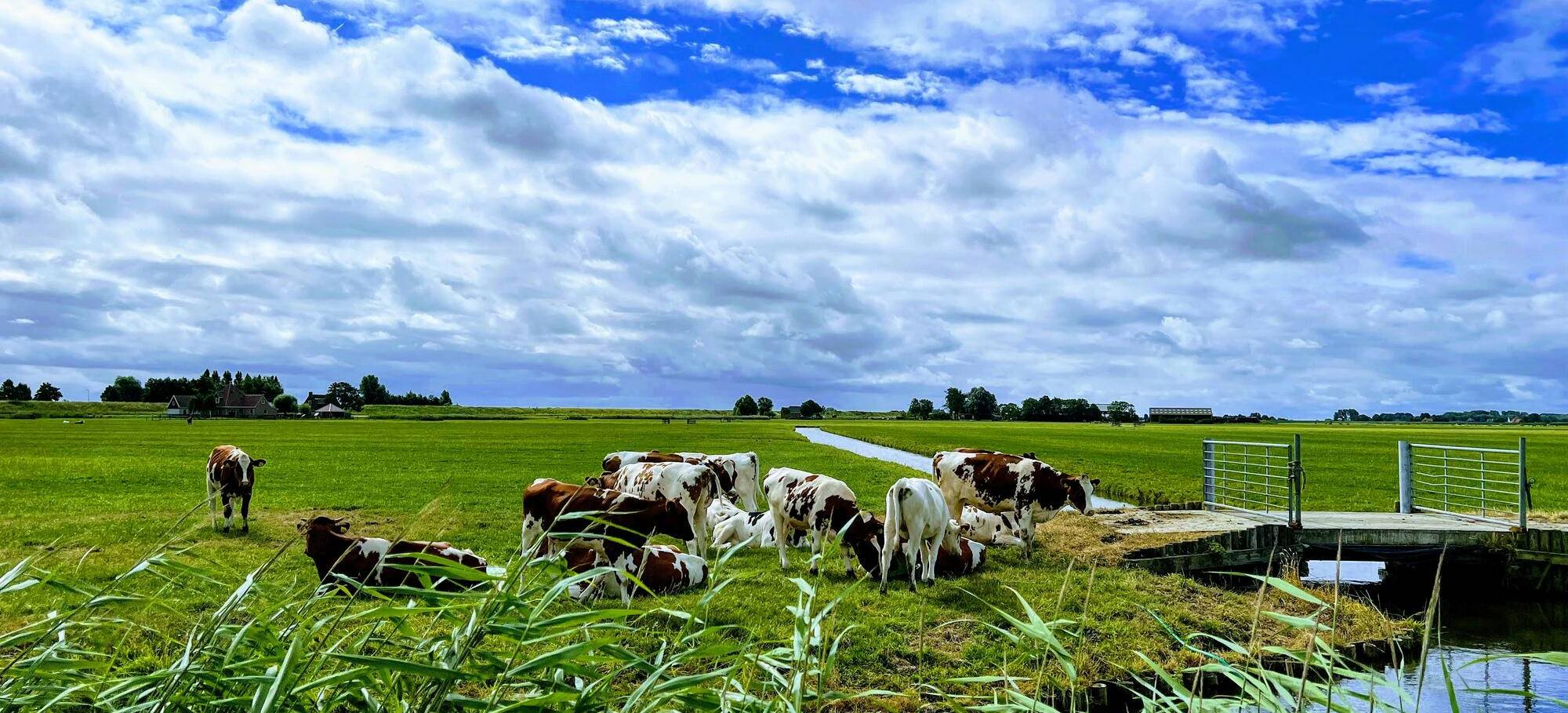 Girona farmland (1)