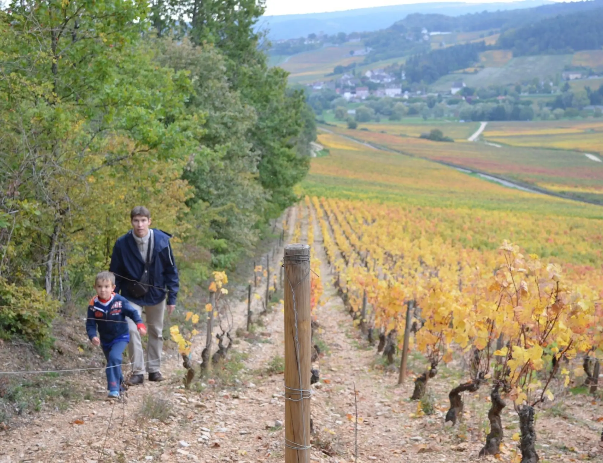  Dijon to Meursault Burgundy Wine Hiking and Walking Tour