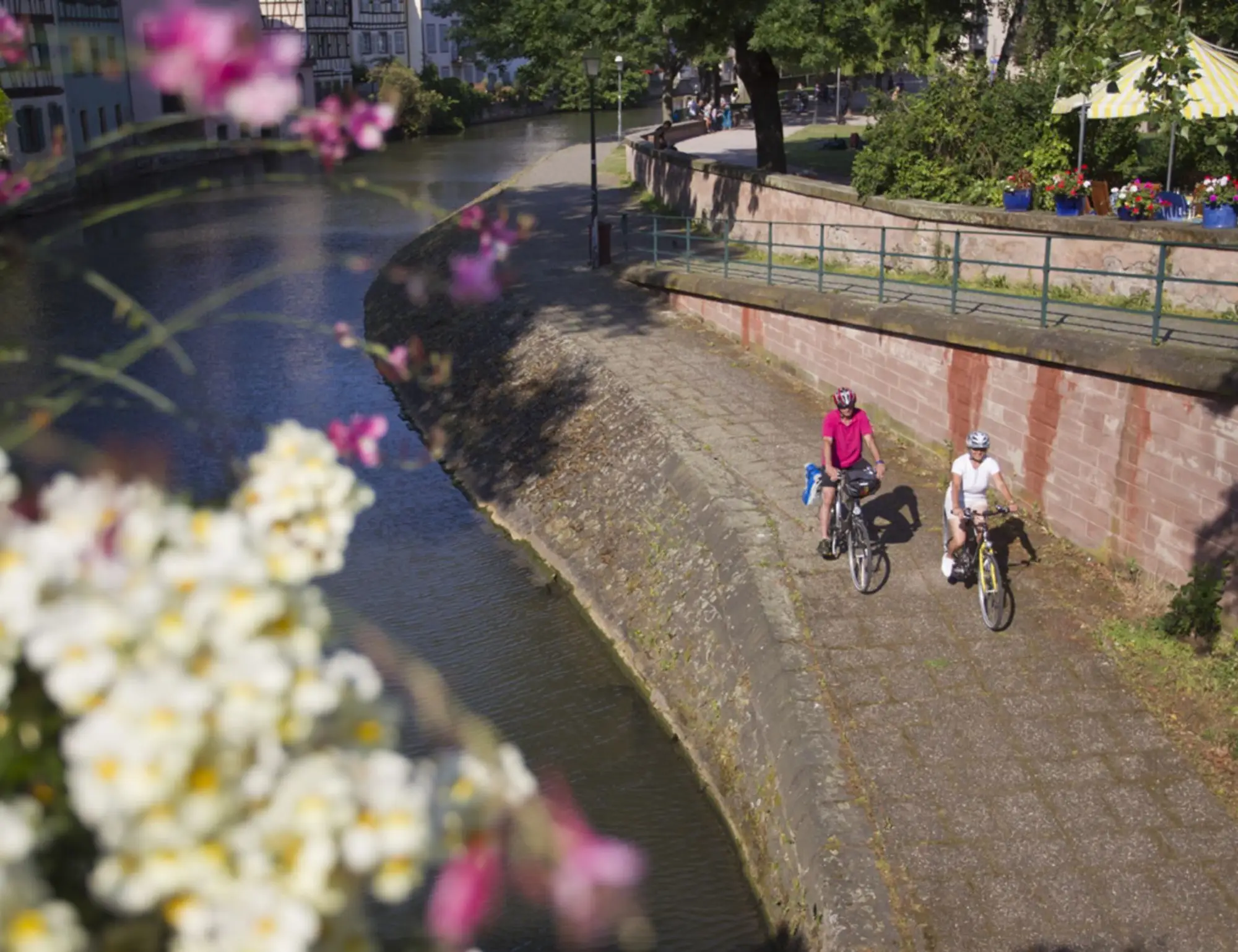 France and Germany Alsace Beer Bike Tour