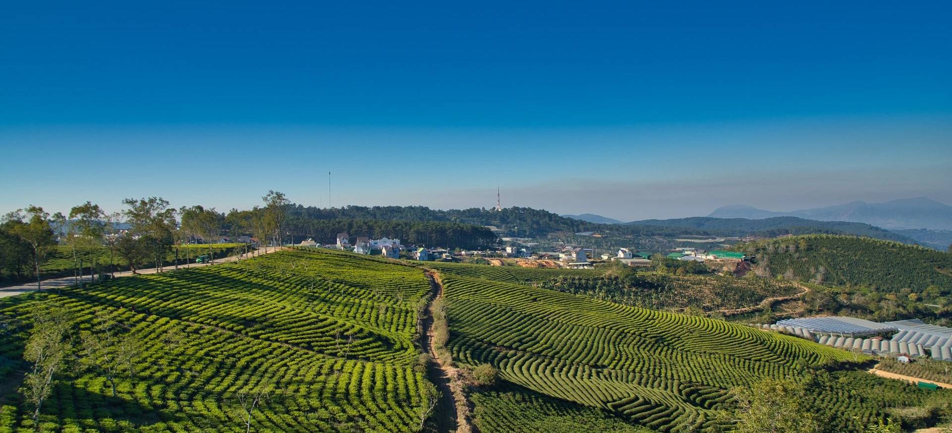Itinerary Image