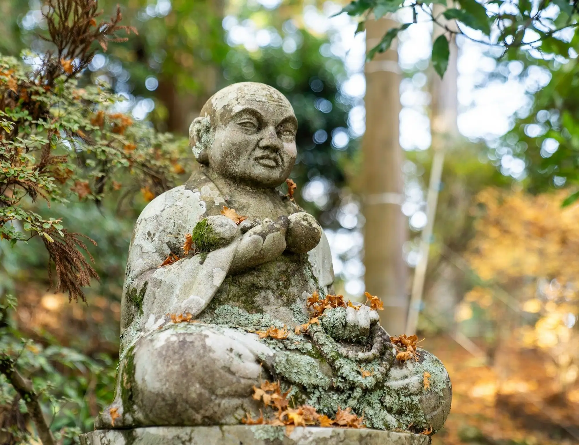 Highlights of Shikoku Pilgrimage Trail Hiking and Walking Tour