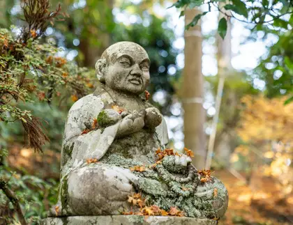 Highlights of Shikoku Pilgrimage Trail Hiking and Walking Tour