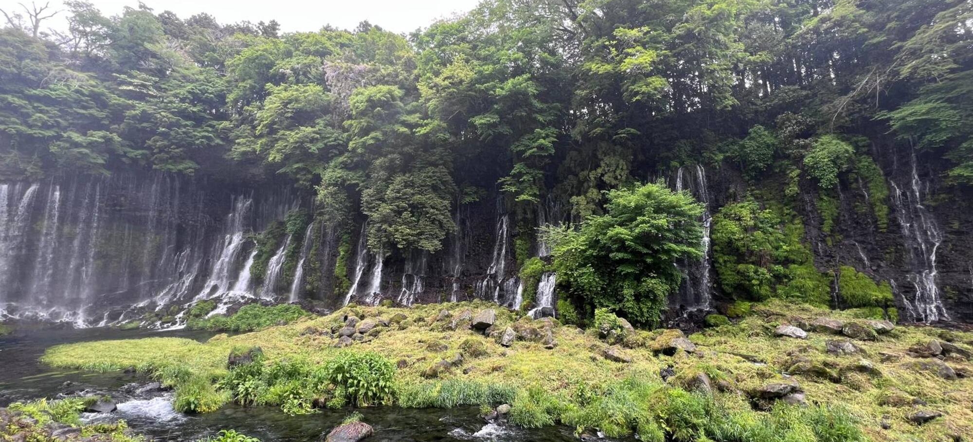 Fuji 11 (1)