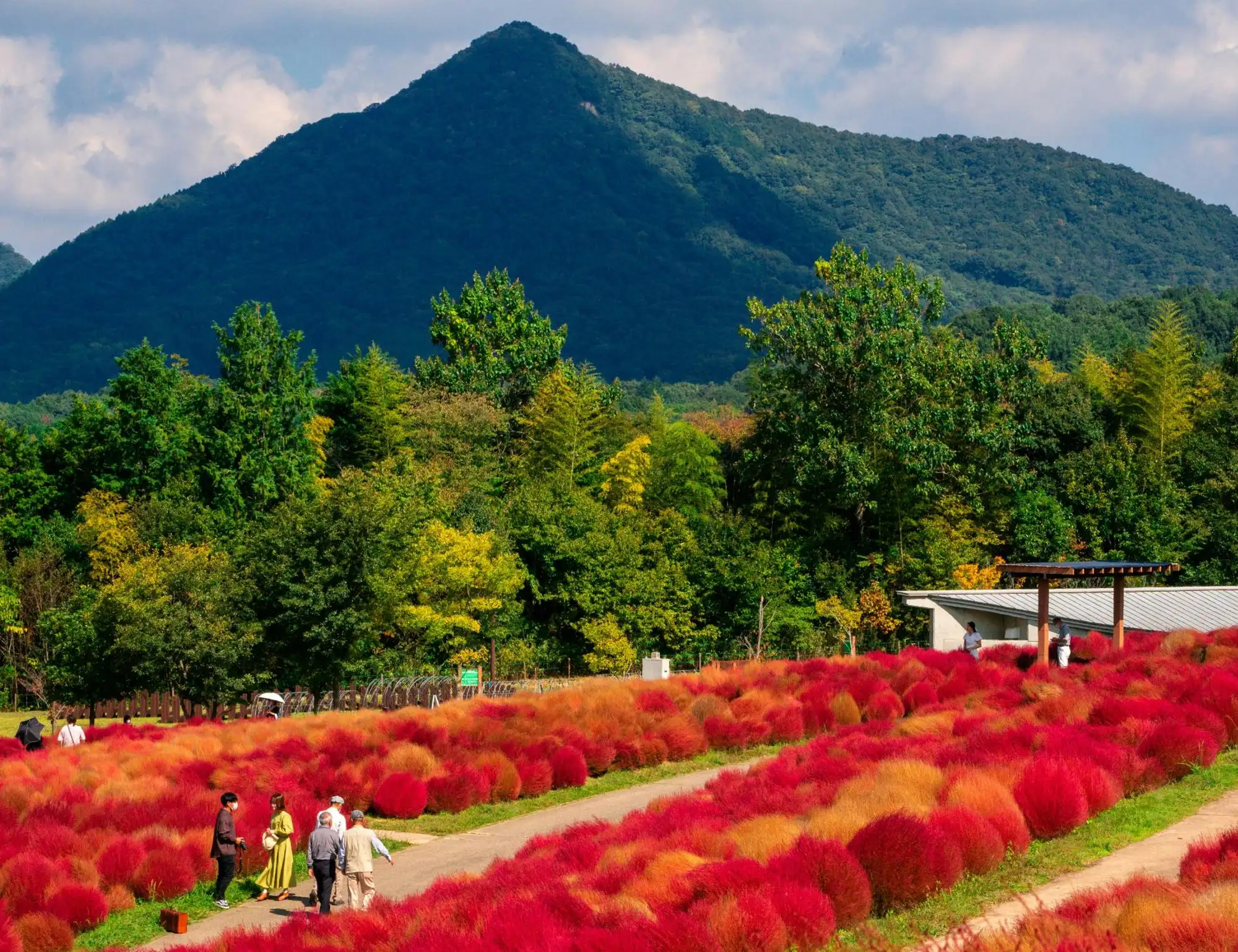 Temples and Trails of Shikoku Hiking and Walking Tour