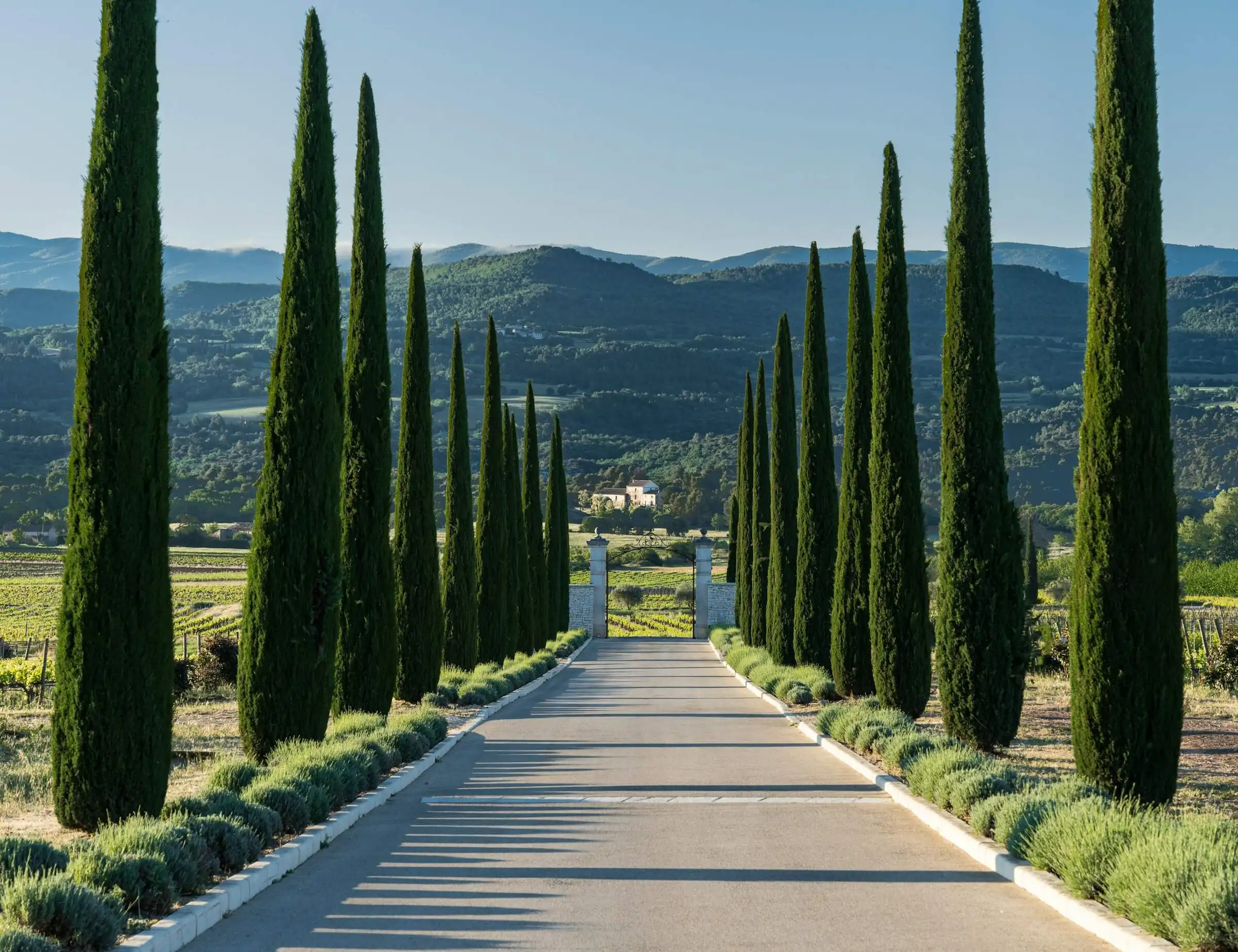 Self-guided Luberon in Luxury Bike Tour
