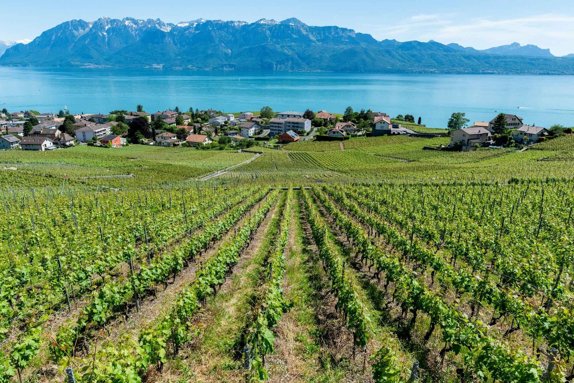 Itinerary Image