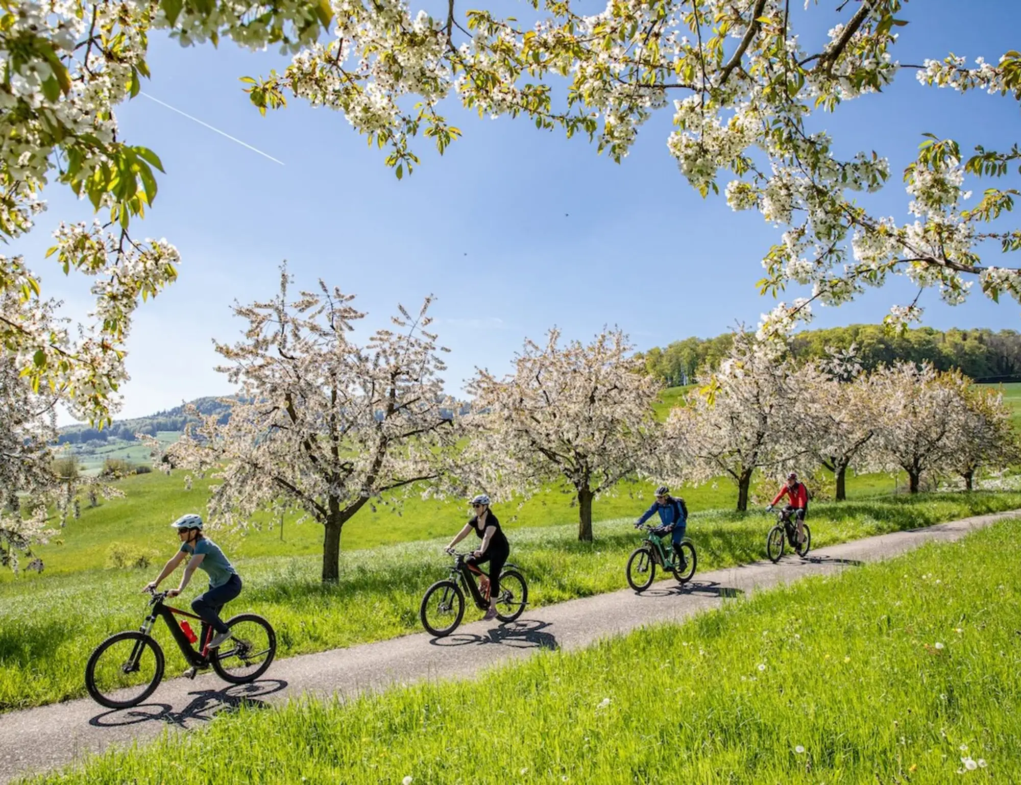 Dreiland Cycle Path Three Country Bike Tour 