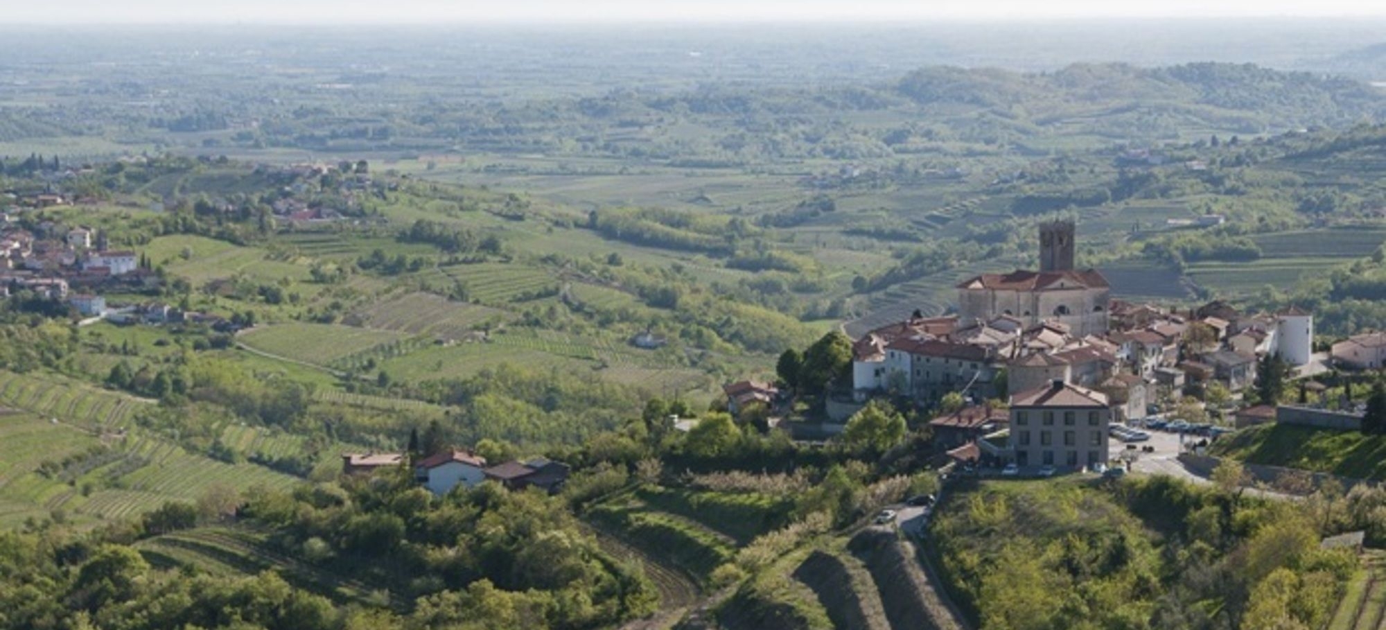 vistas_wines__brda_region1