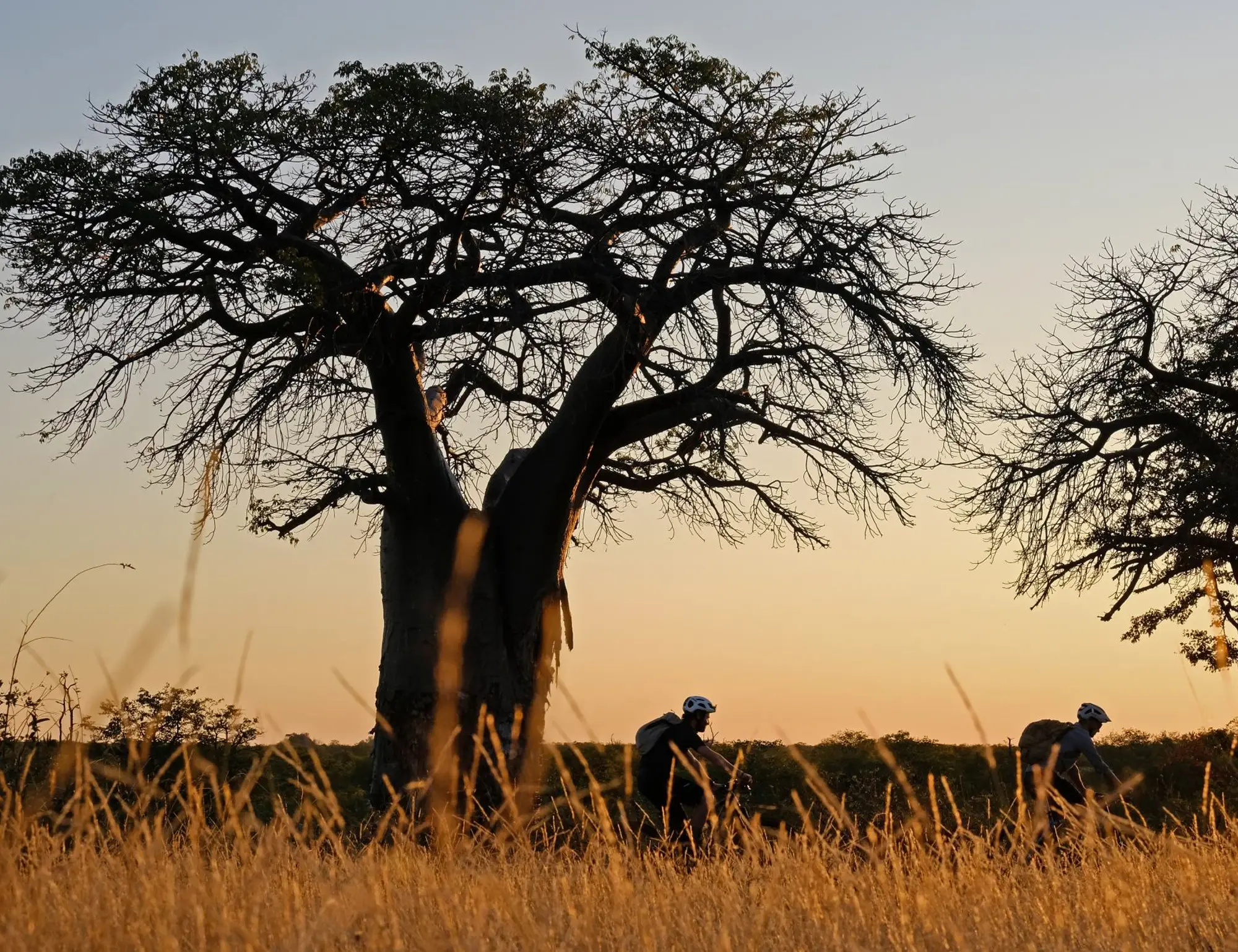 Majestic Botswana Safari Bike Tour