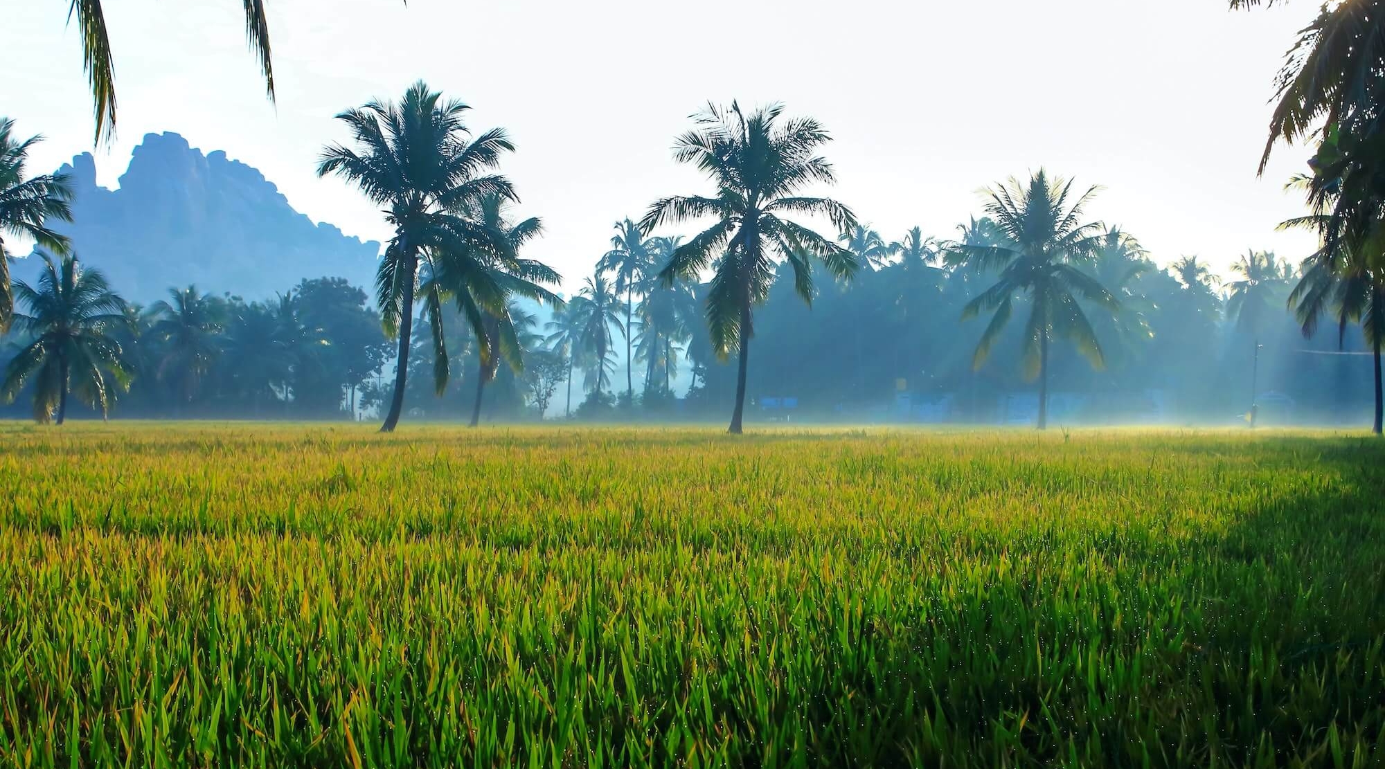 south india bike tour 17