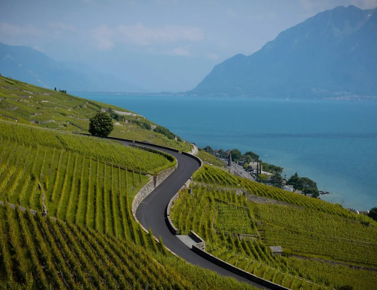 Picture for The Complete Guide to Cycling Switzerland article
