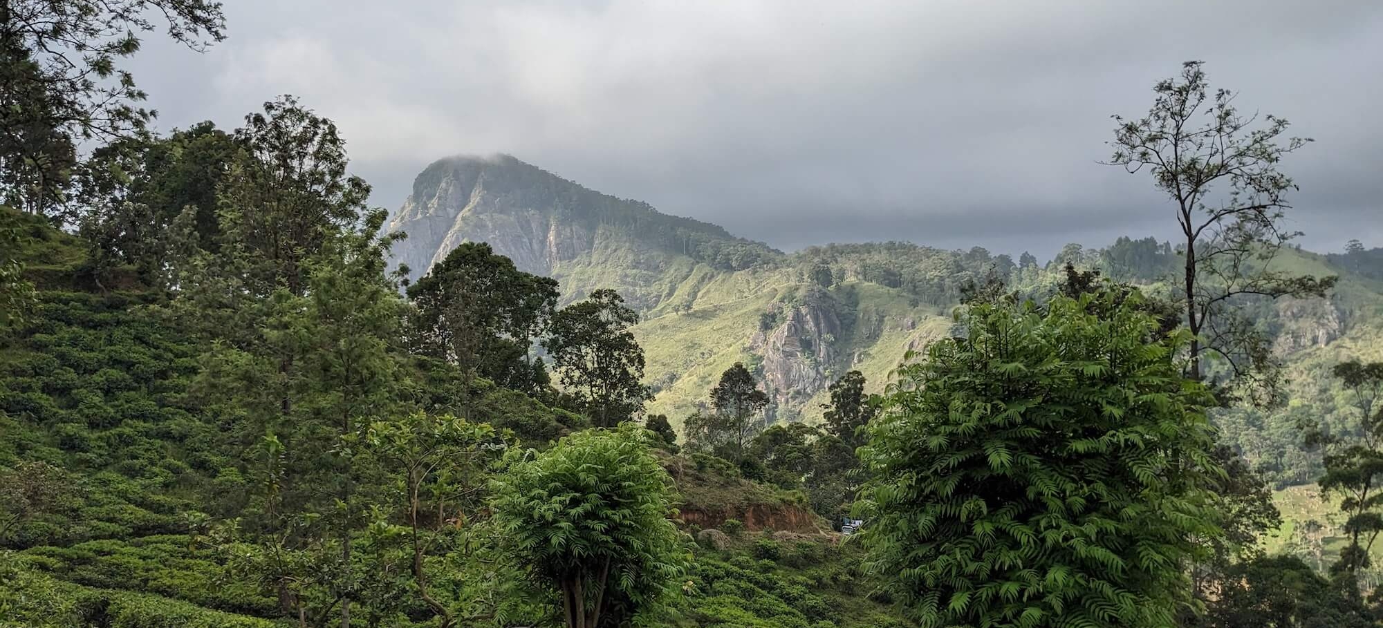 Srilanka15_14