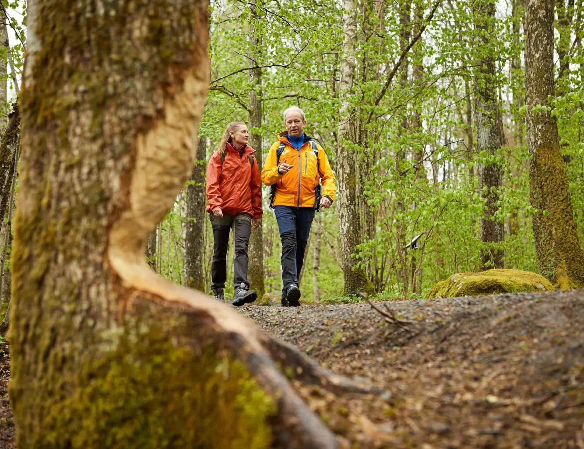The Gotaleden Nature and Nordic Heritage Hiking and Walking Tour 