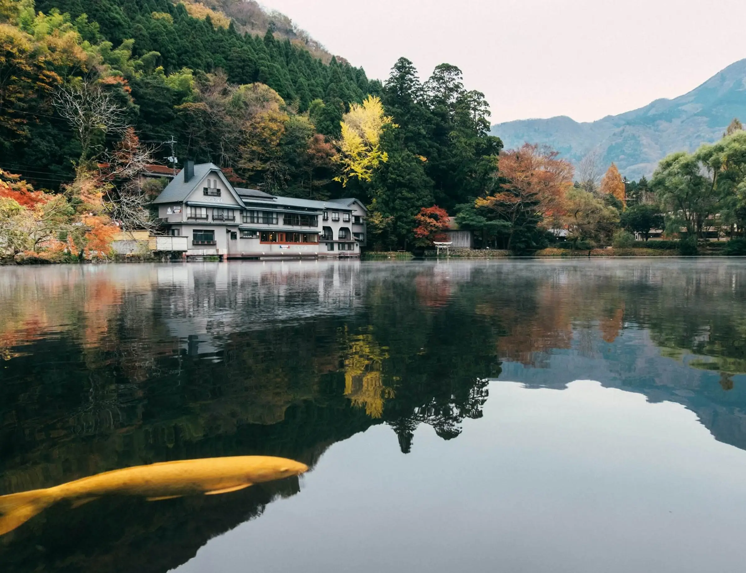 Kyushu Hot Springs Bike Tour