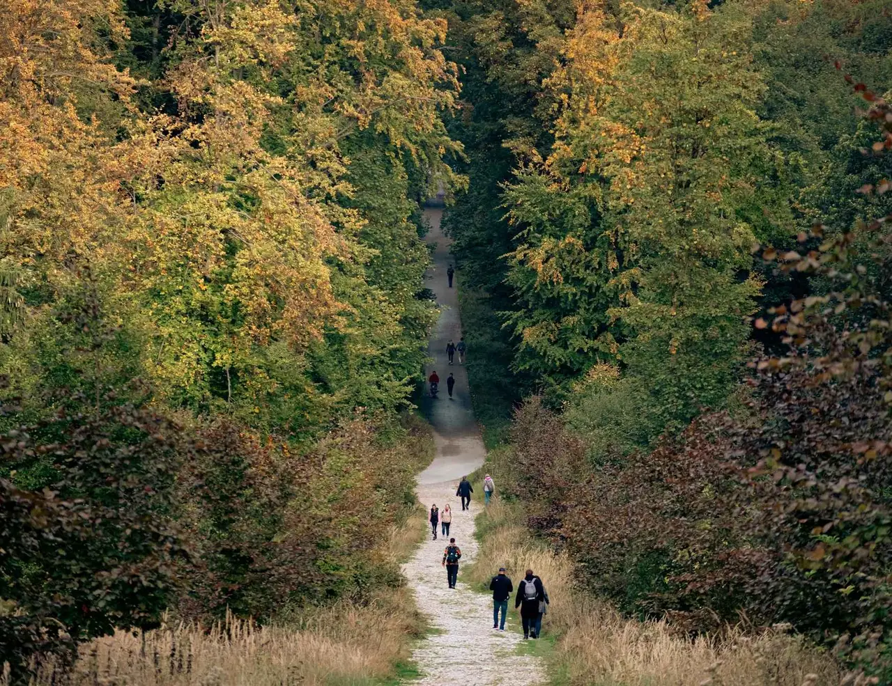 Picture for The Complete Guide to Hiking Germany article