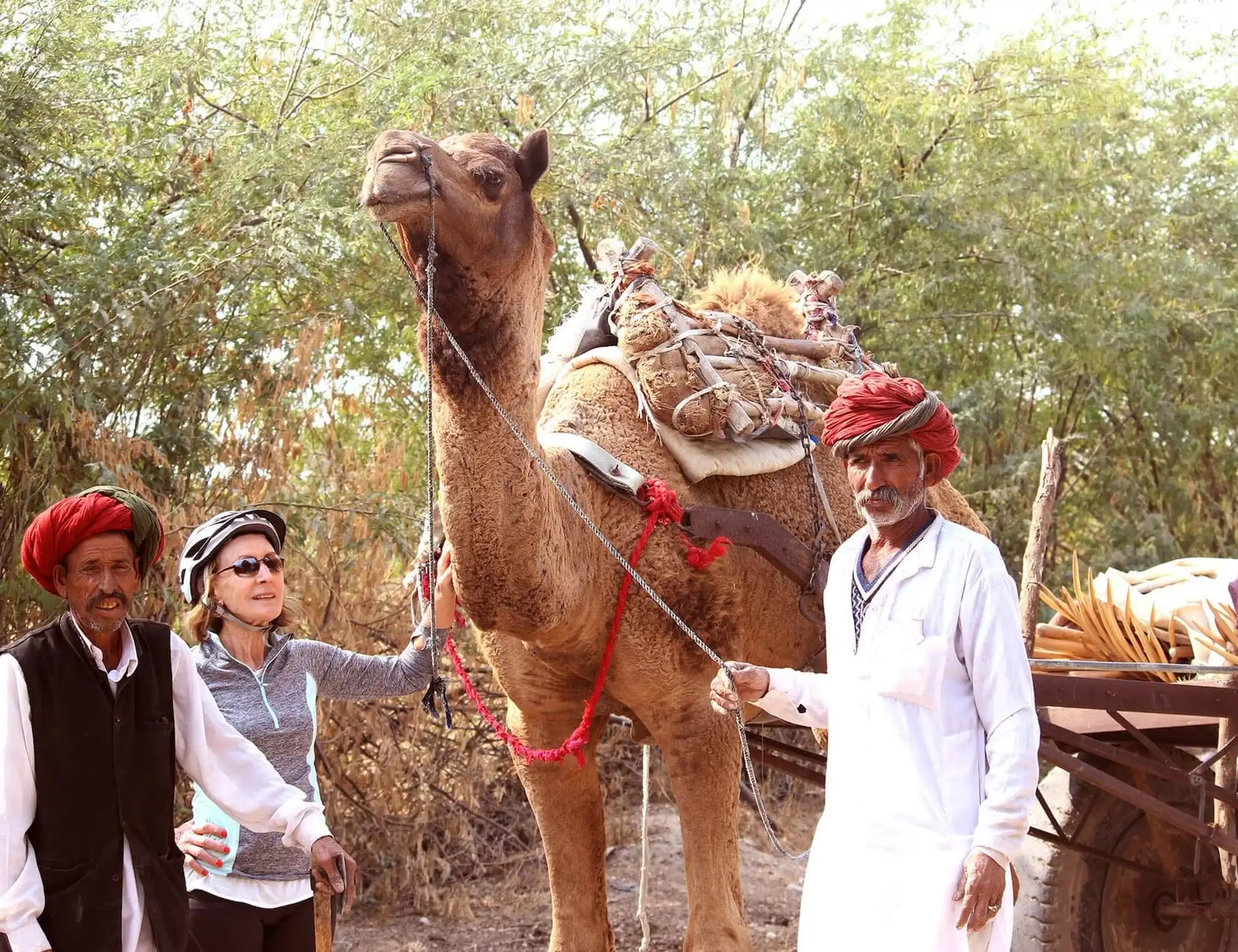 Colorful Rajasthan in Luxury Bike Tour