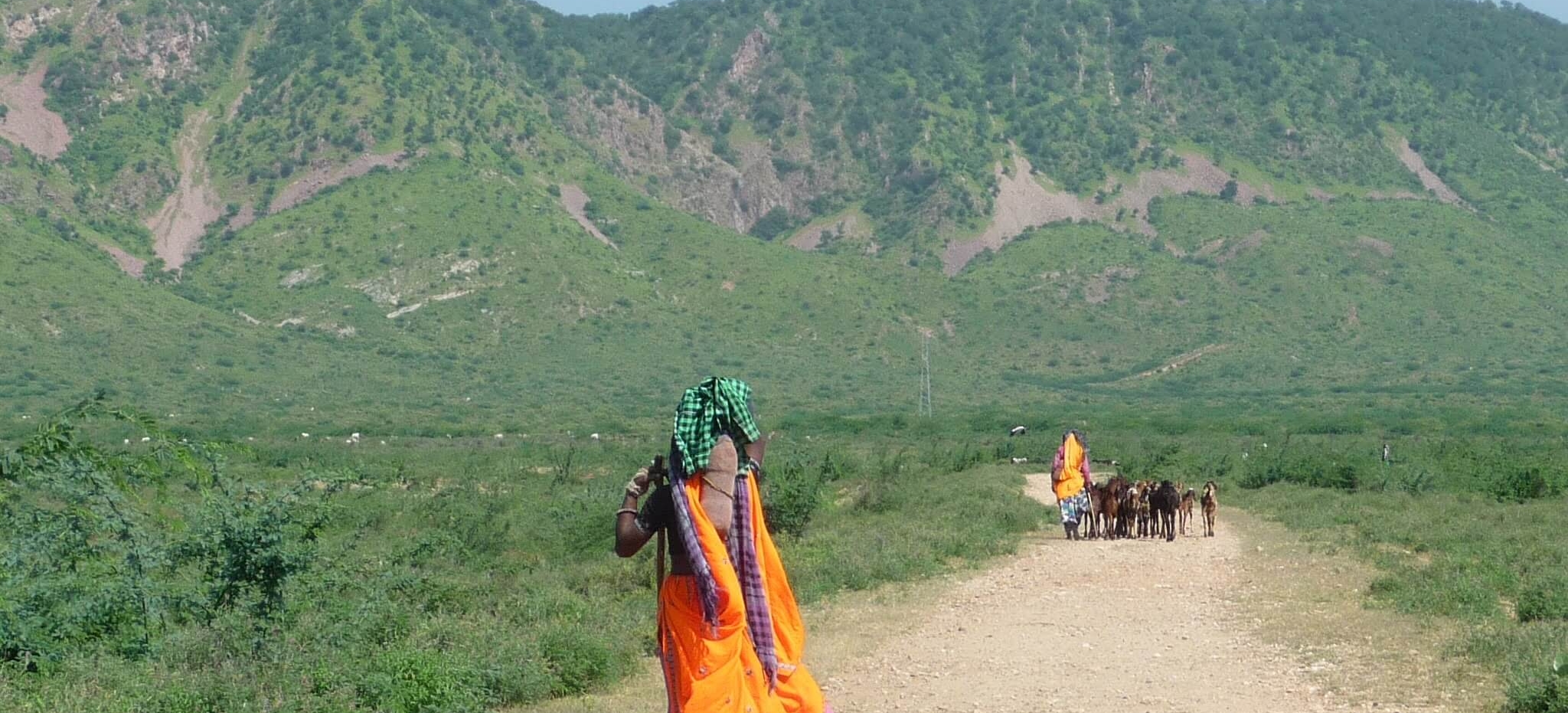 rajasthan bike tour 14