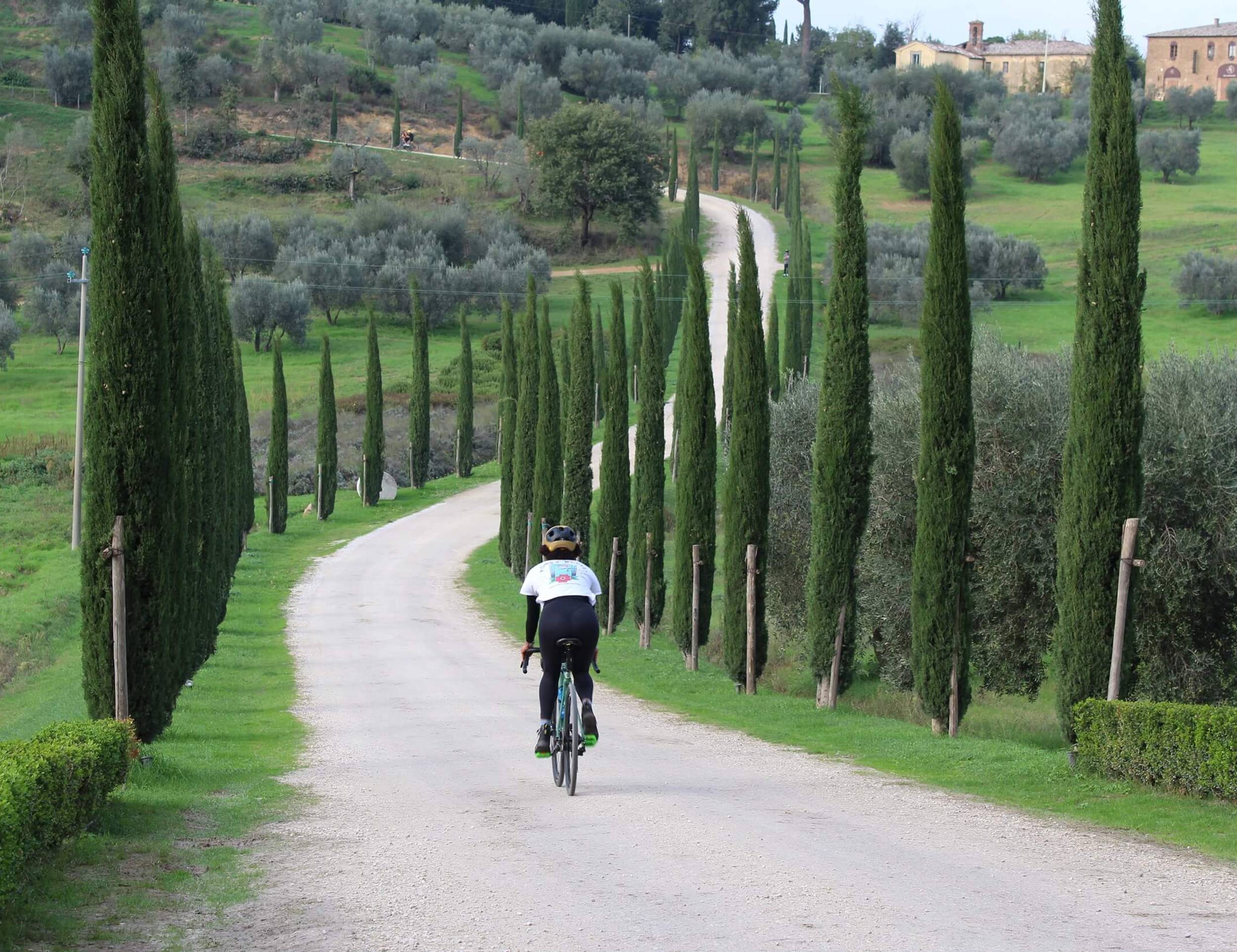 Self-guided Super Tuscan Vineyards in Luxury Bike Tour