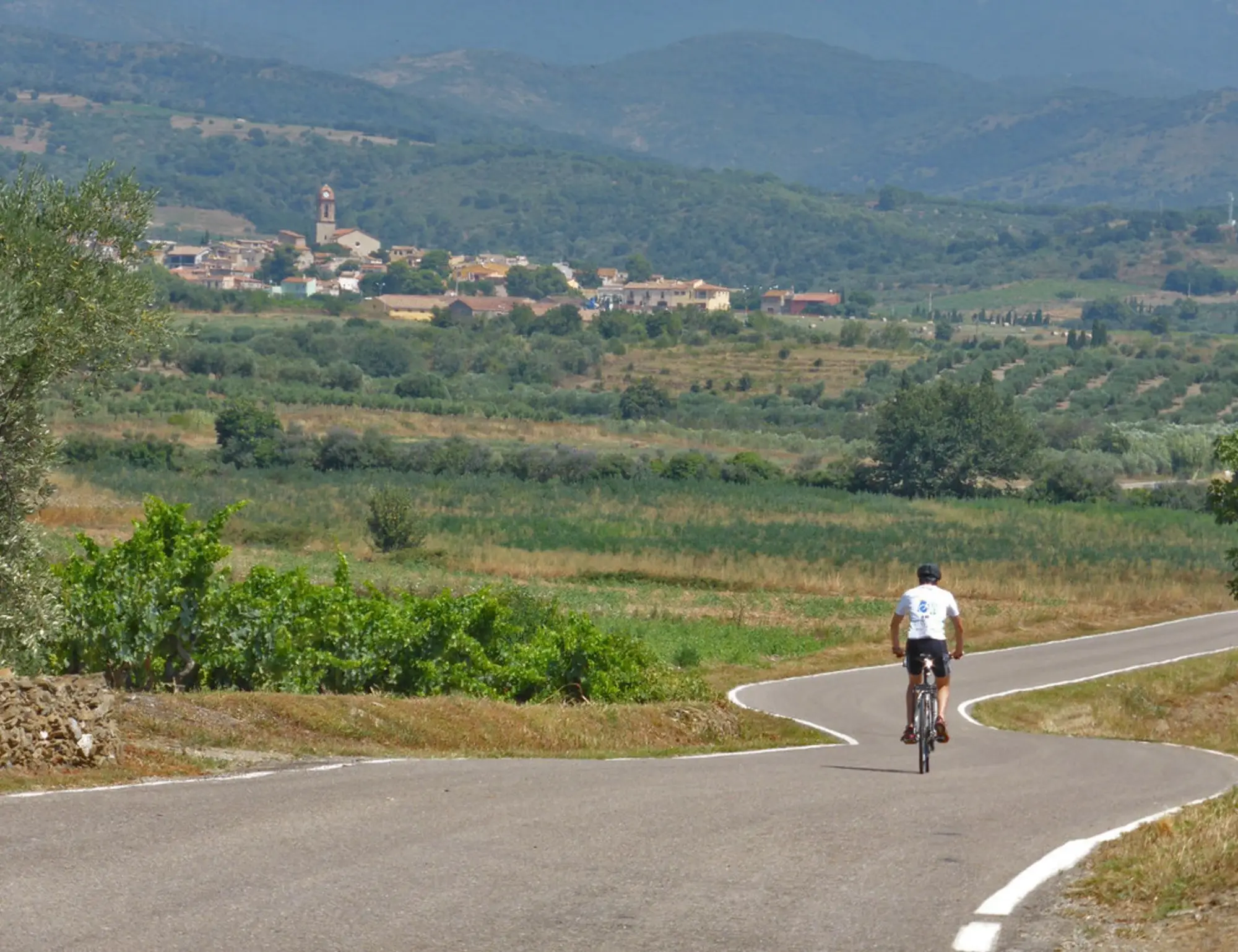 Costa Brava and Emporda Food, Wine and Bike Tour