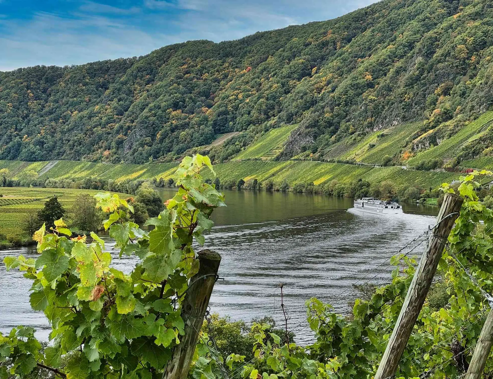 Mainz to Cologne Rhine Valley Bike and Barge Tour