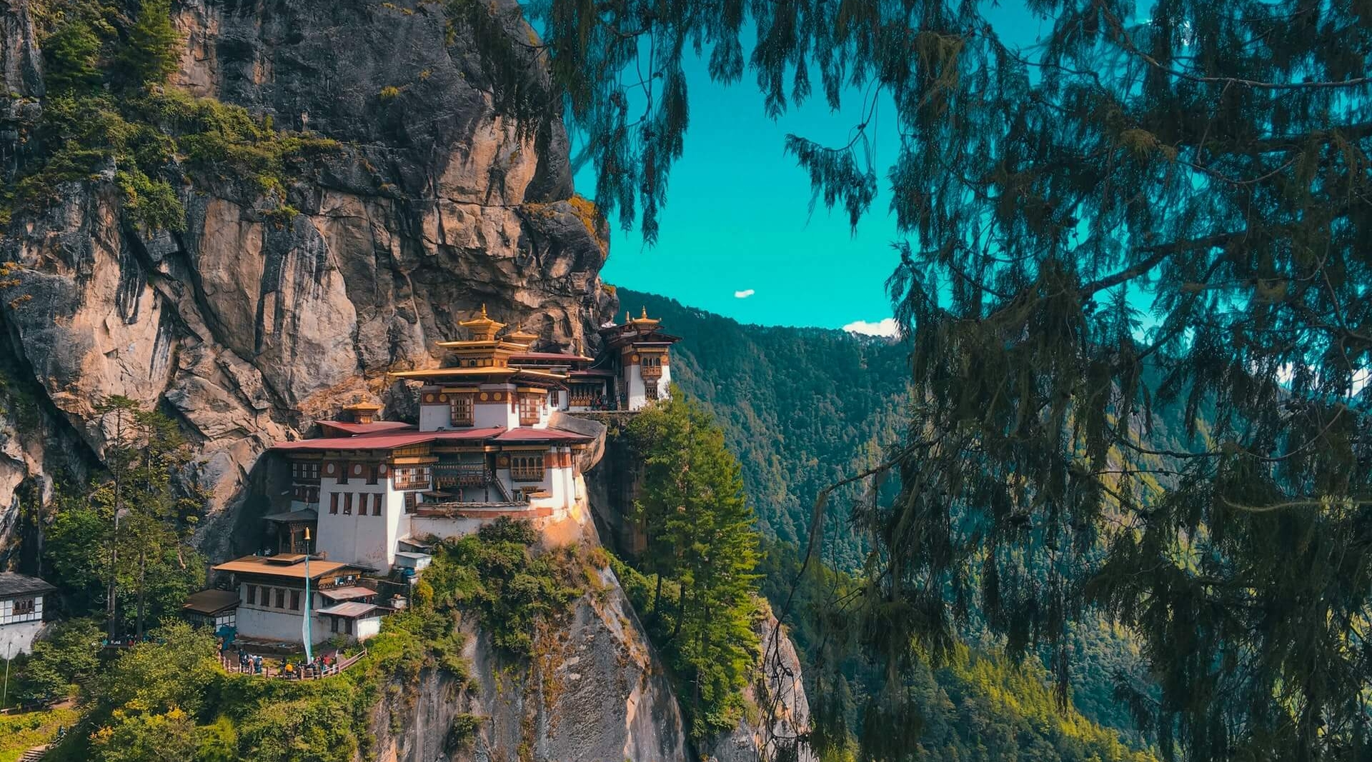 bhutan tigers nest (1)