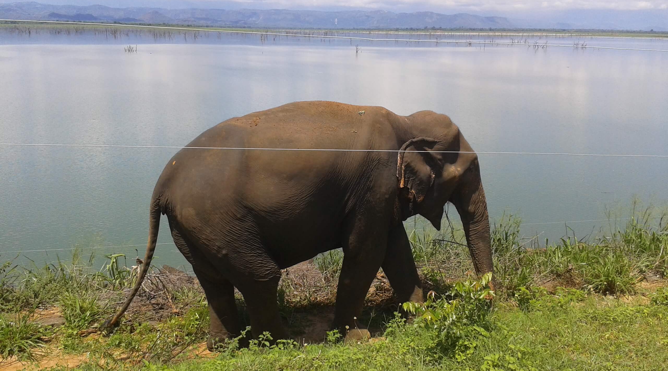 srilanka bike tour 2