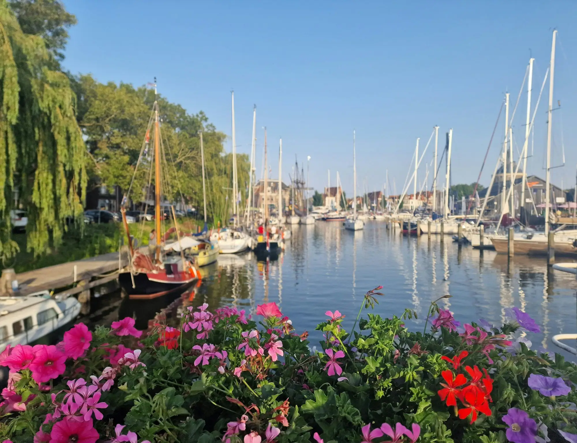 North Holland and Friesland Bike and Boat Tour