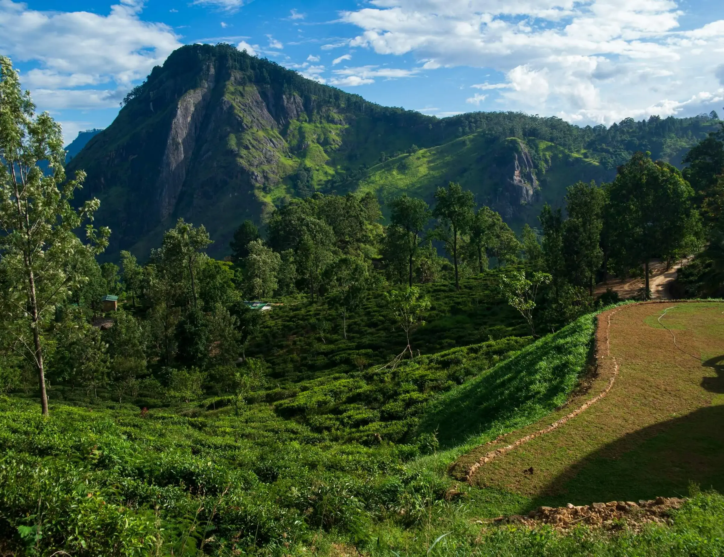 Sri Lanka's Pekoe Trail Hiking Tour