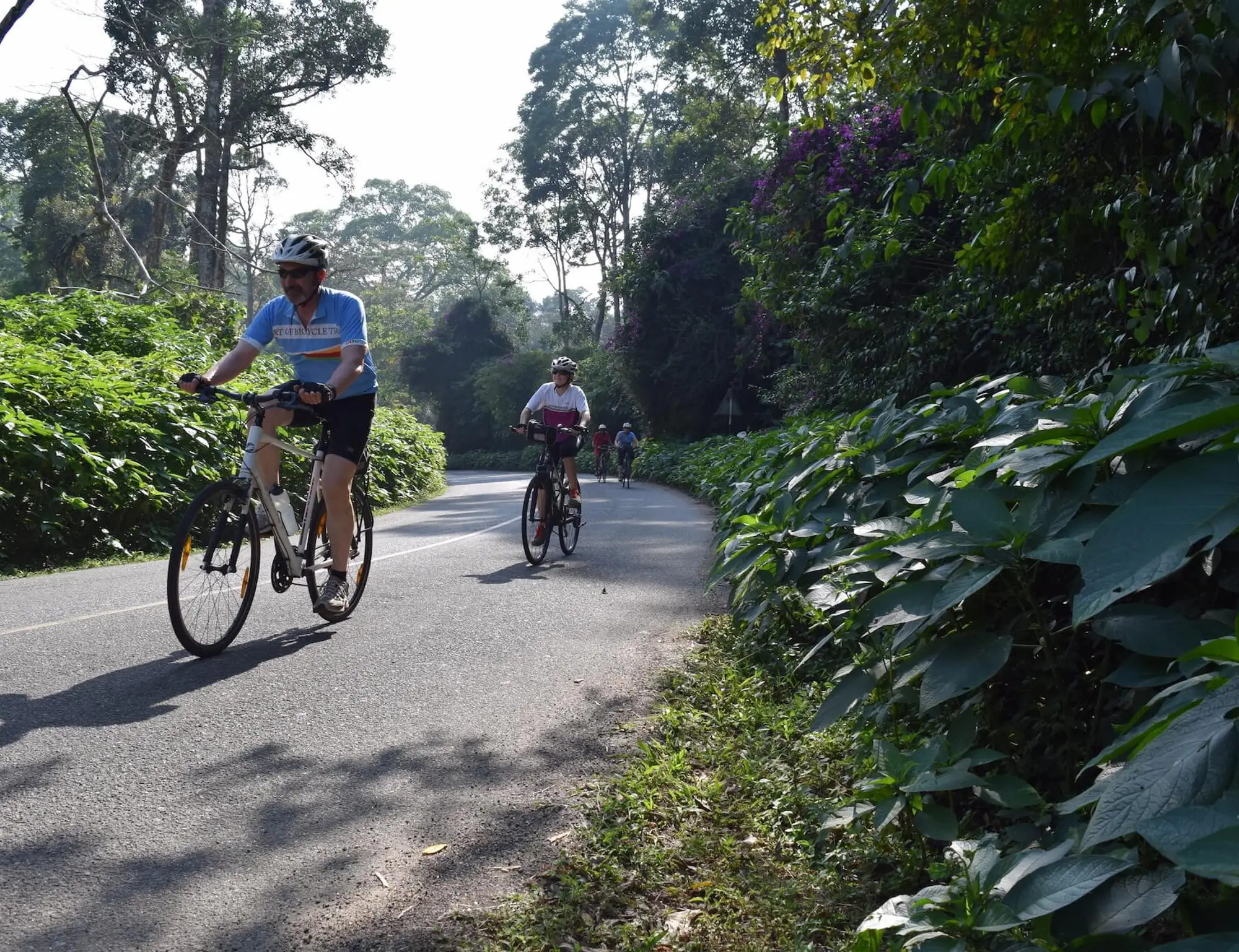 Kerala to Tamil Nadu in Luxury Bike Tour