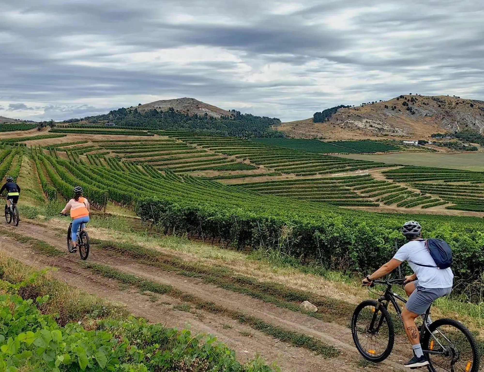 Flavours of Romania Bike and Wine Tour