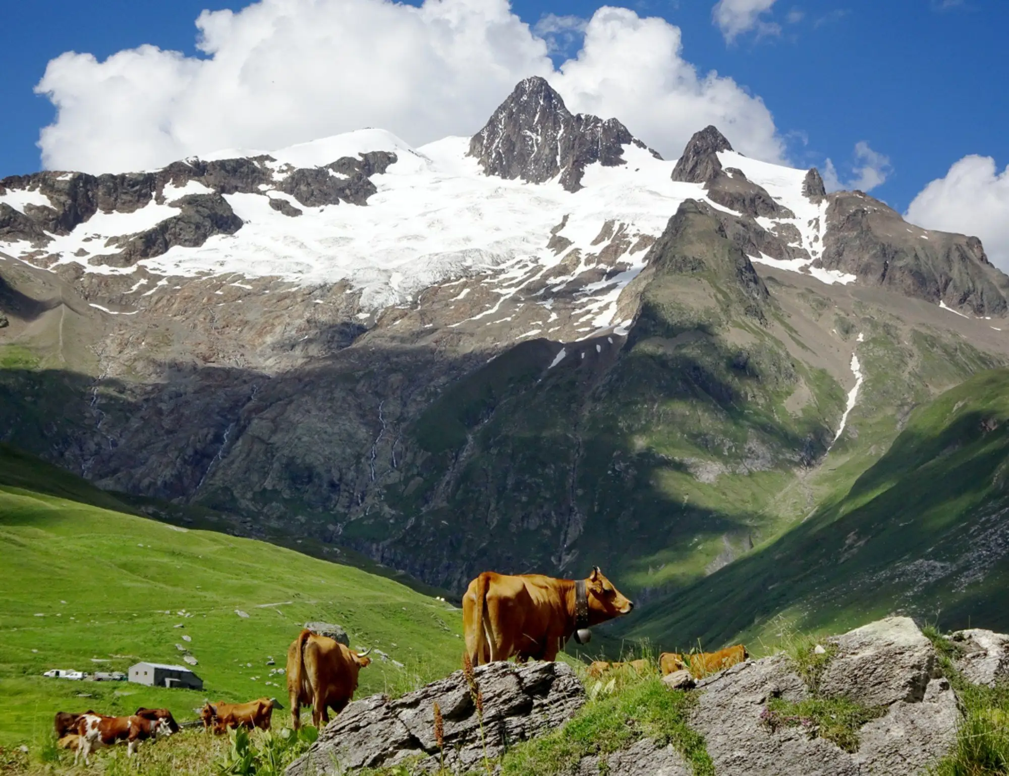 Mont Blanc East Hiking Tour 