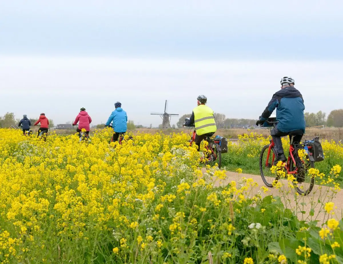 Islands and Beaches of Zeeland Bike and Barge Tour 