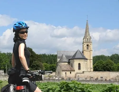 Châteaux and Vineyards of Loire Valley Blois to Saumur Bike Tour