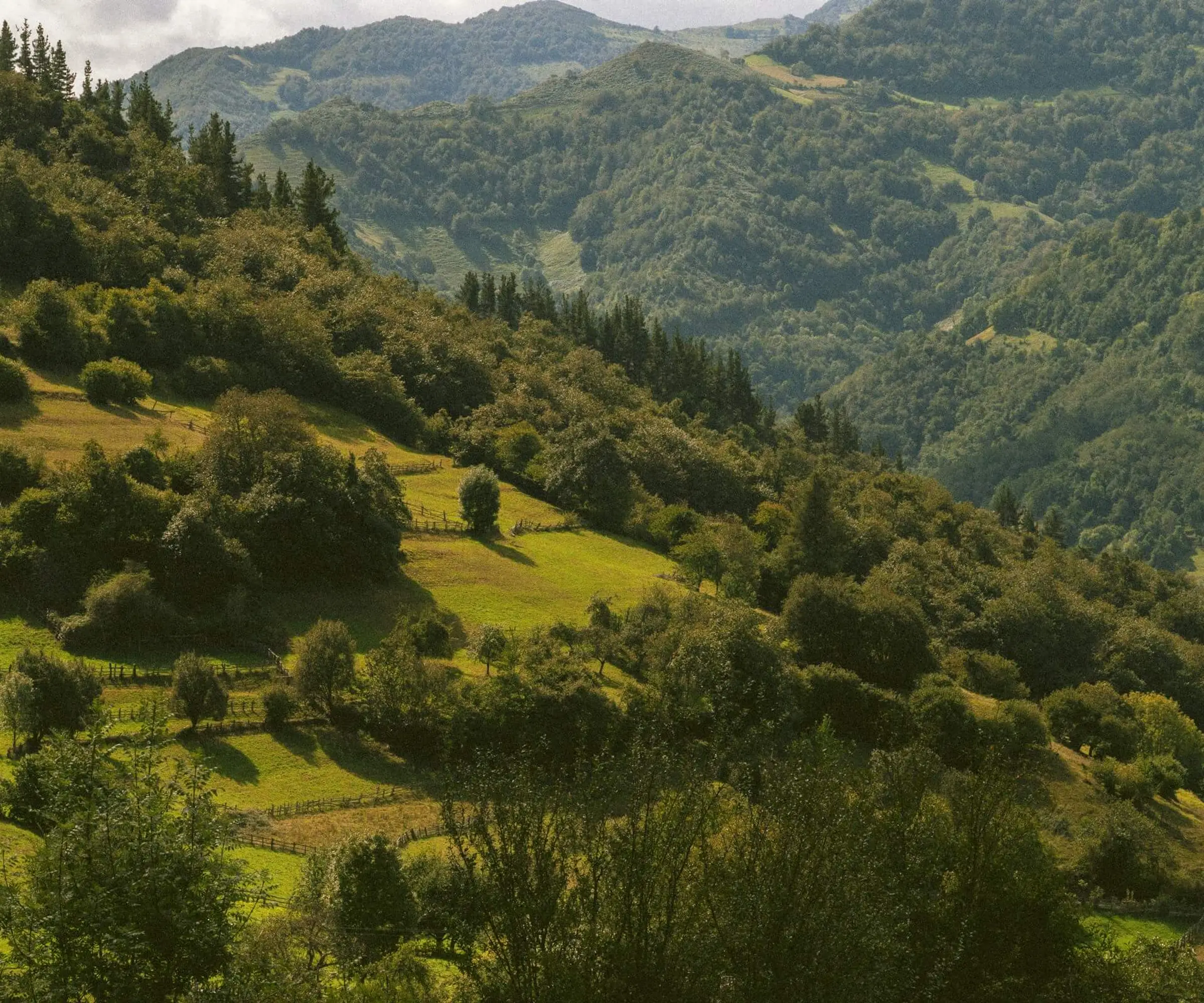 asturias_unsplash