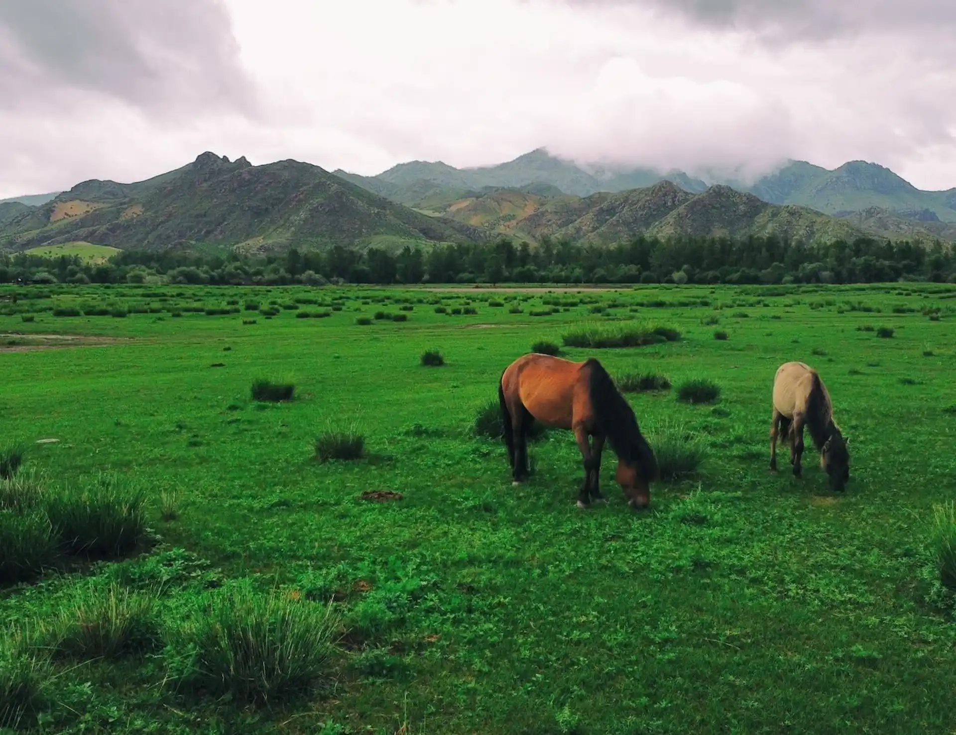 Mongolia Steppe Bike Tour